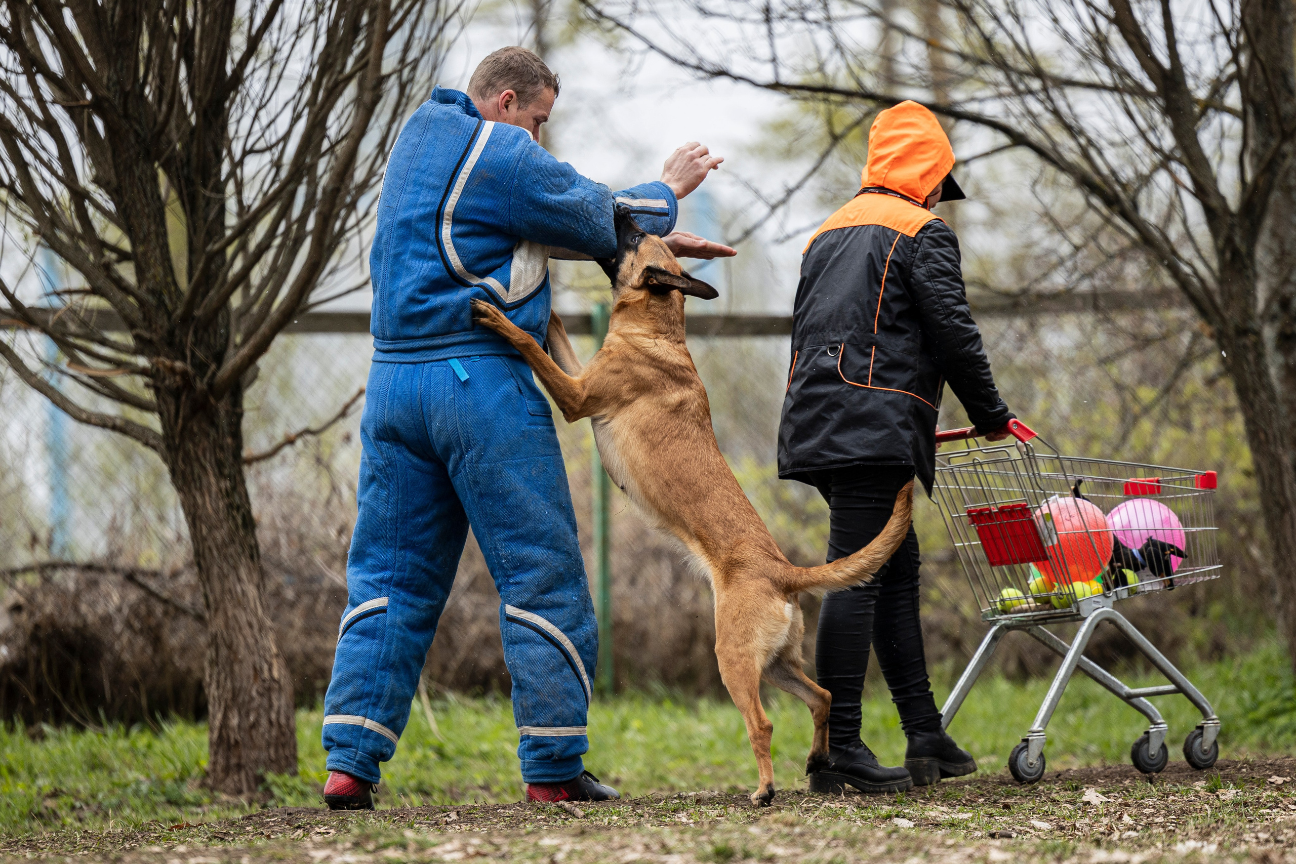 Квалификационные состязания по мондьорингу г. Вологда 11.05.24. Фотограф-анималист Анна Маринич