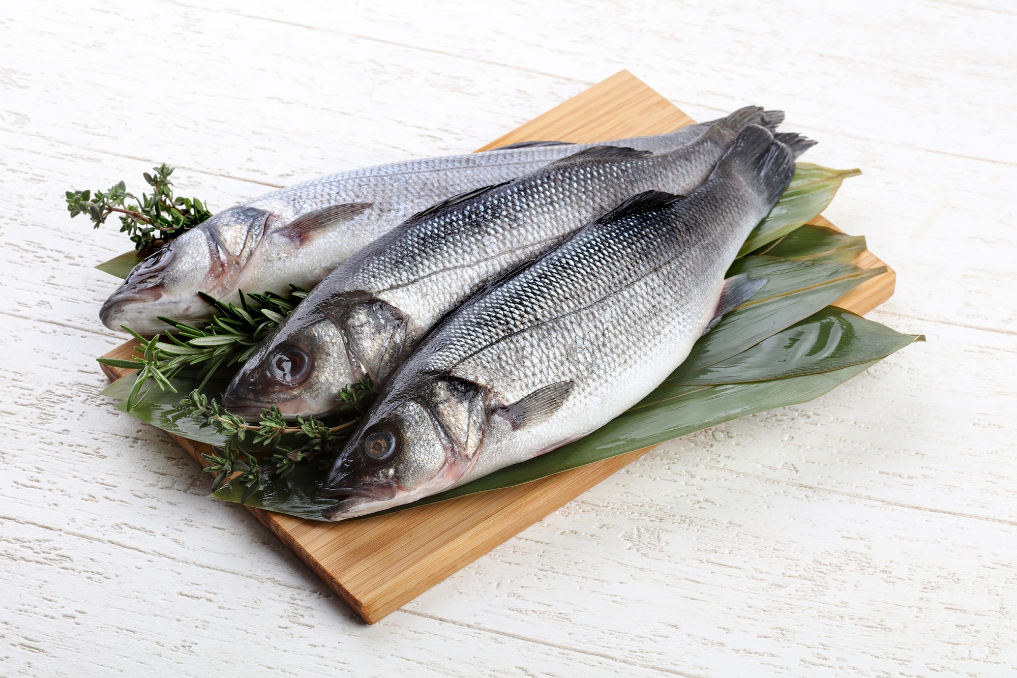 Съемка рыбы и морепродуктов для производства. Фуд-фотограф Андрей Старостин — съемка еды в Москве. 9000 руб. в час