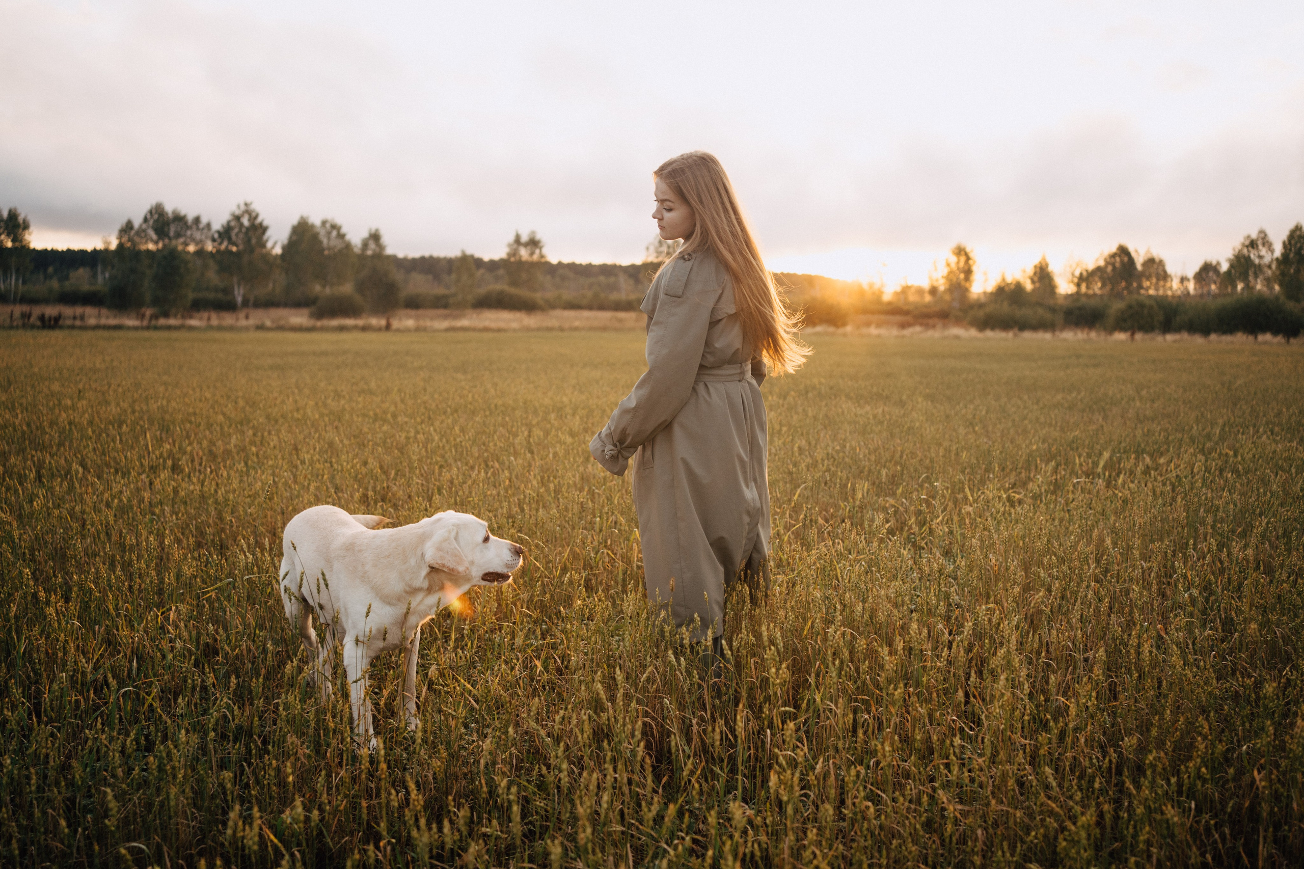 Дана и Арчи. Фотограф-анималист Анастасия Большакова