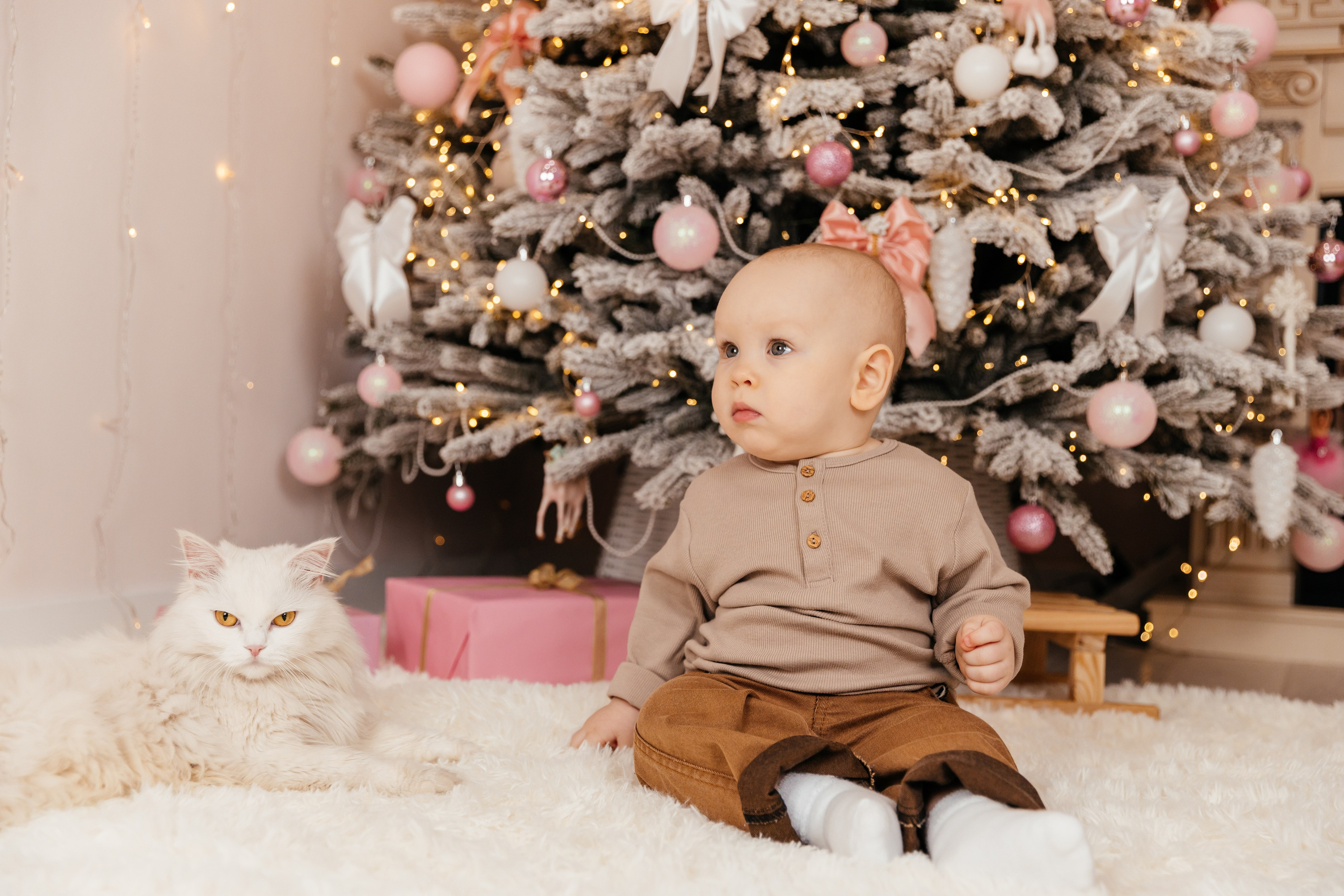 Семья Ивановых. Фотозона в Утане. Семейный фотограф в Чите Татьяна Фирсова