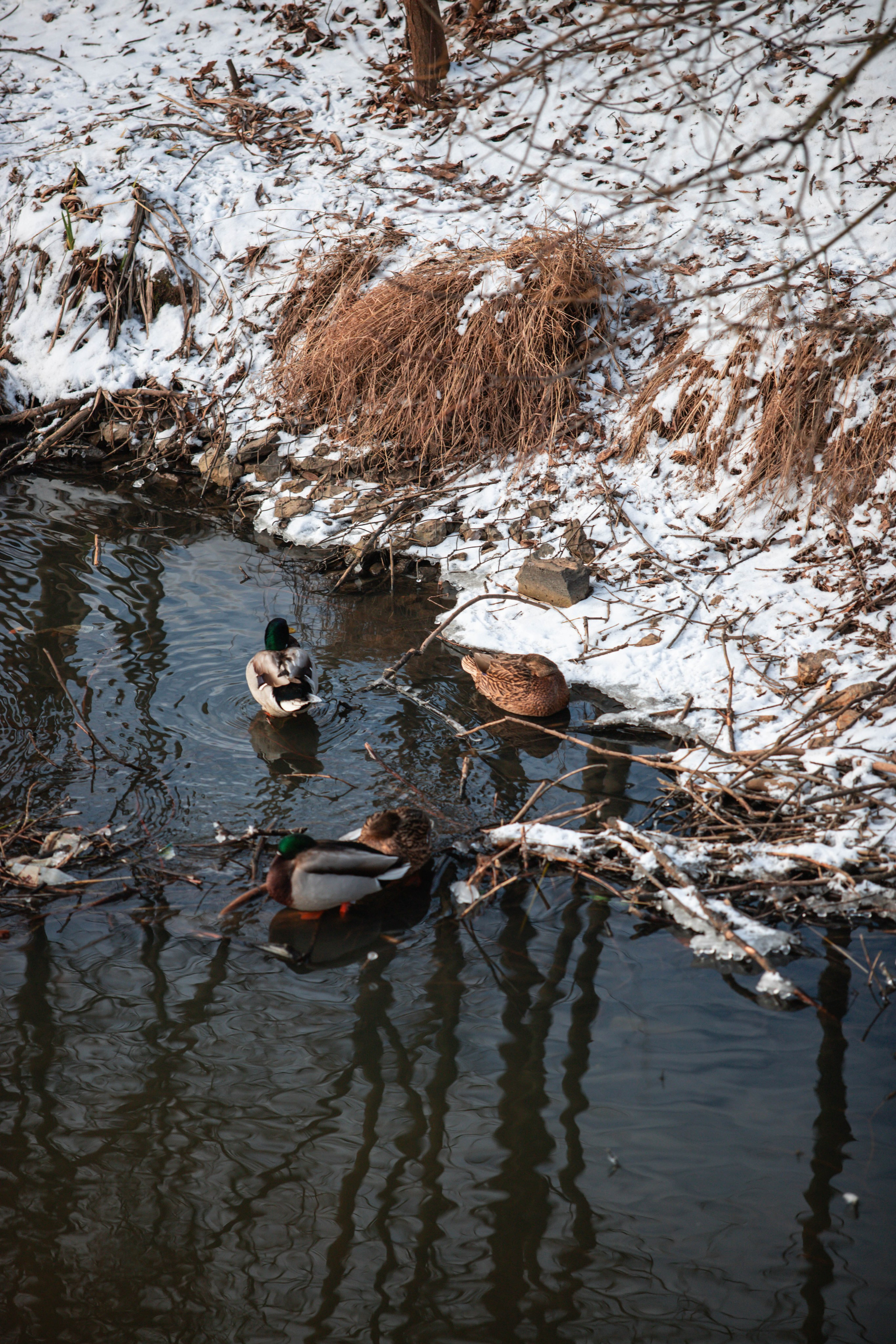 5 верст_Бабушкинская. Александра Мельниченко/ Бегающий фотограф
