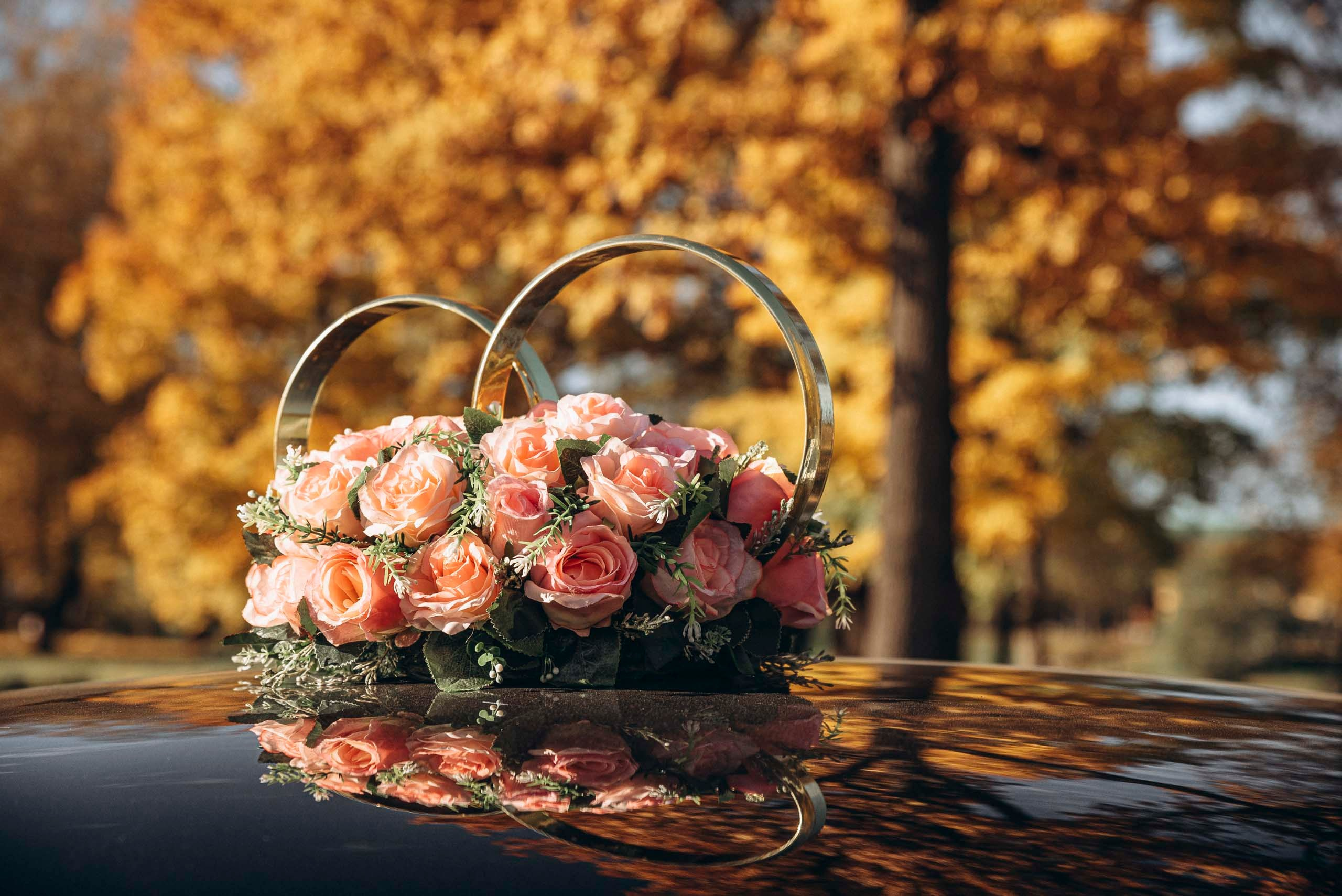 Диана & Сергей