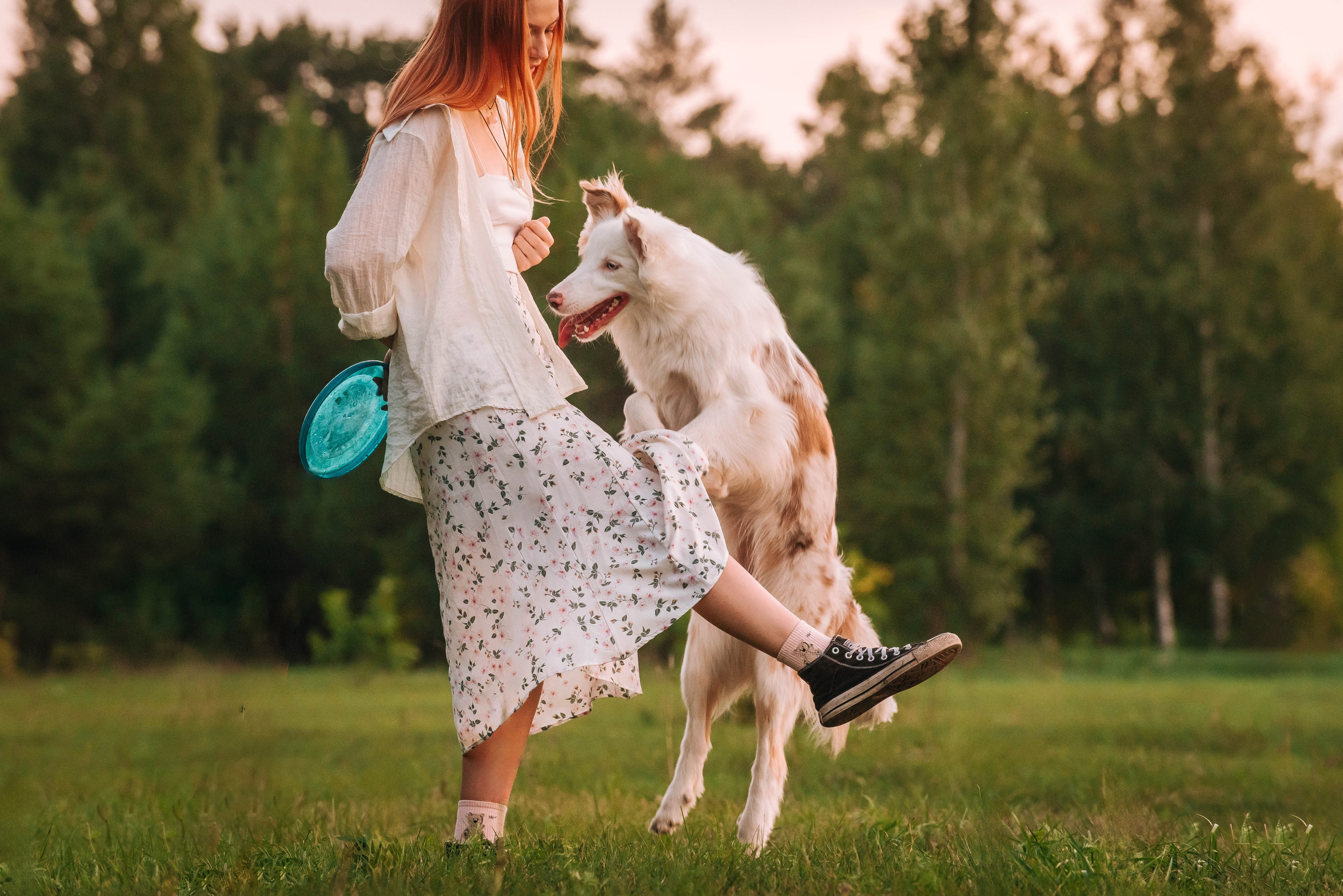 Лиза и Айви. Главная