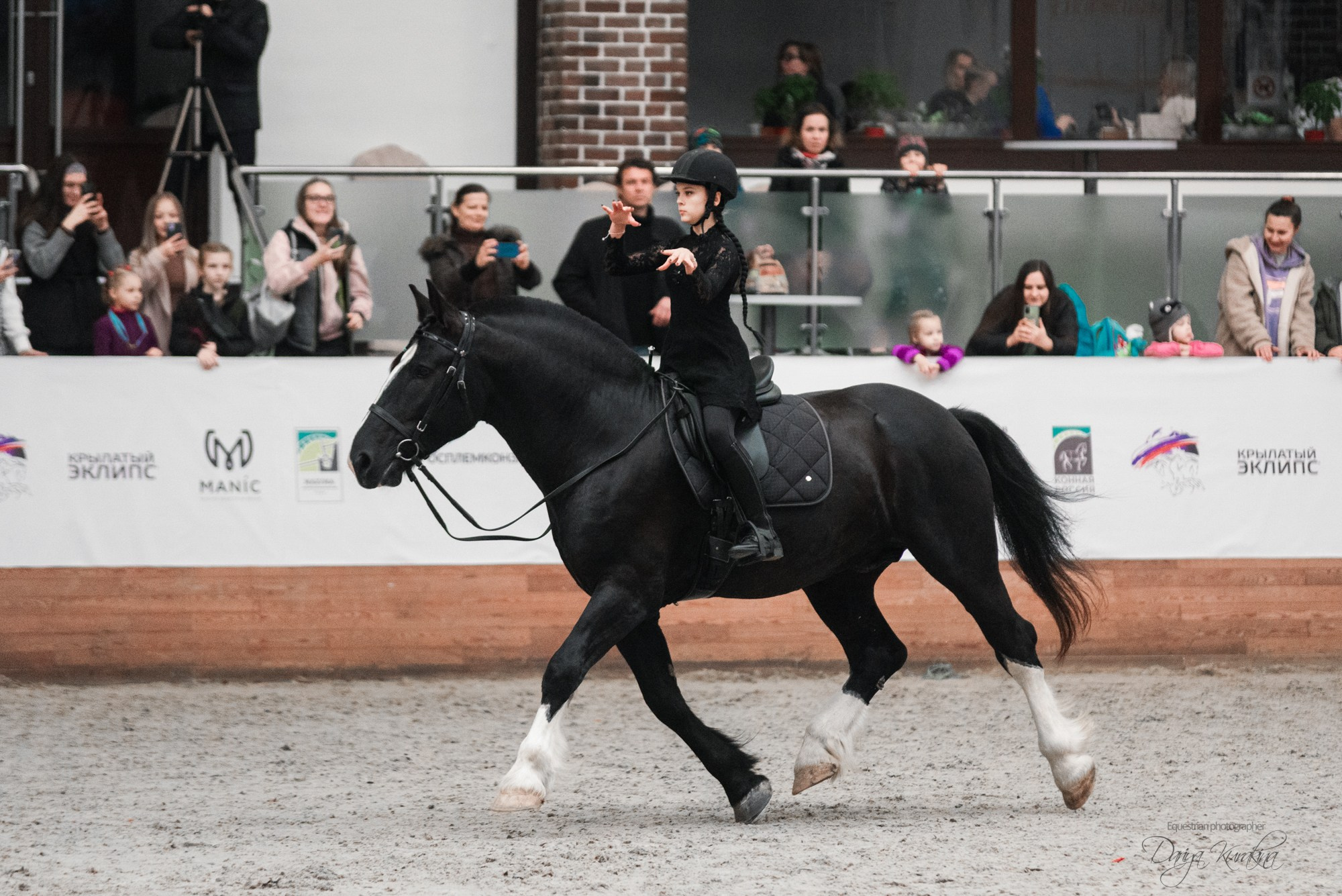 8-я международная выставка Конная Россия. Конный фотограф Куракина Дарья • Фотосессии с лошадьми