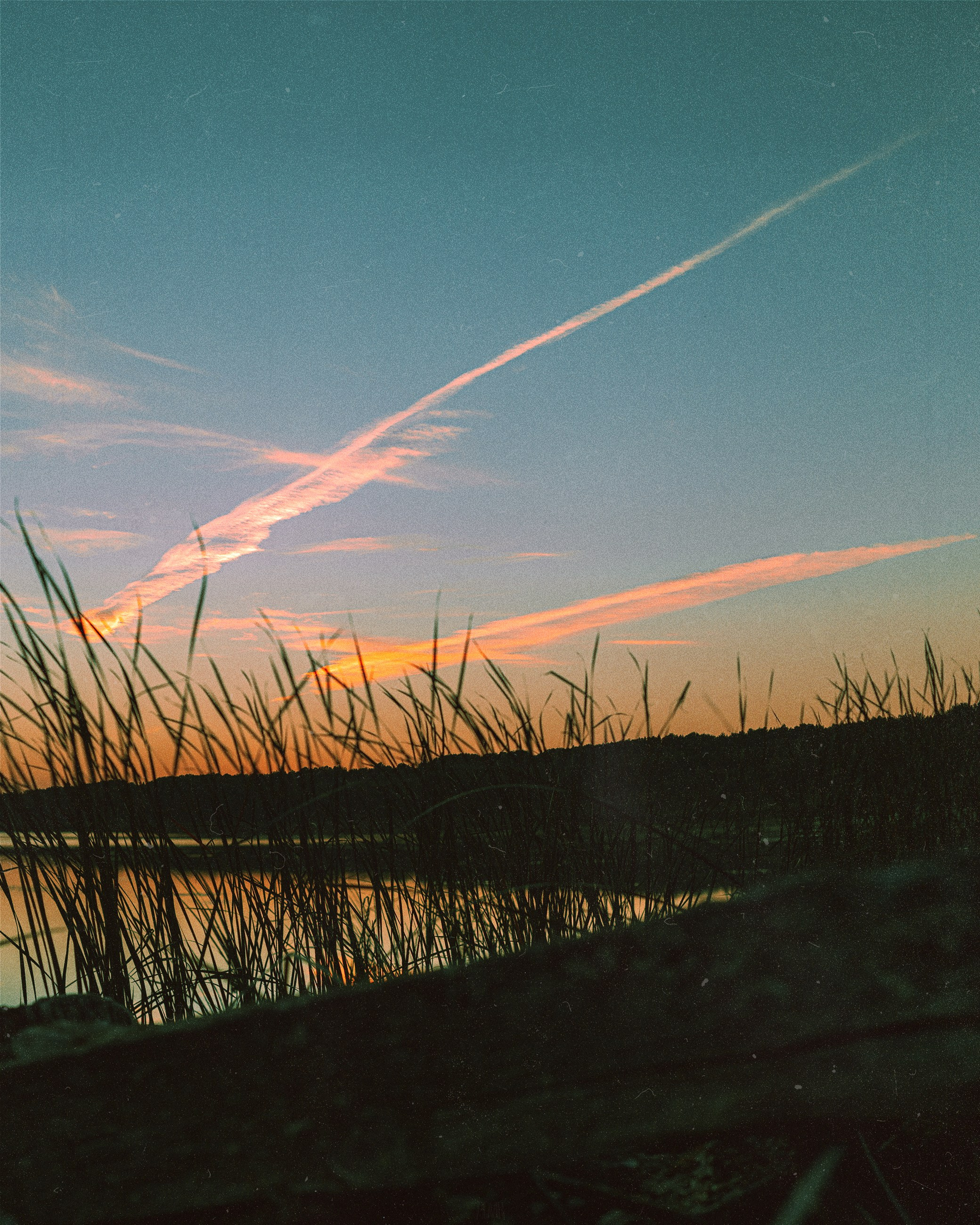 N a t u r e. Your photographer