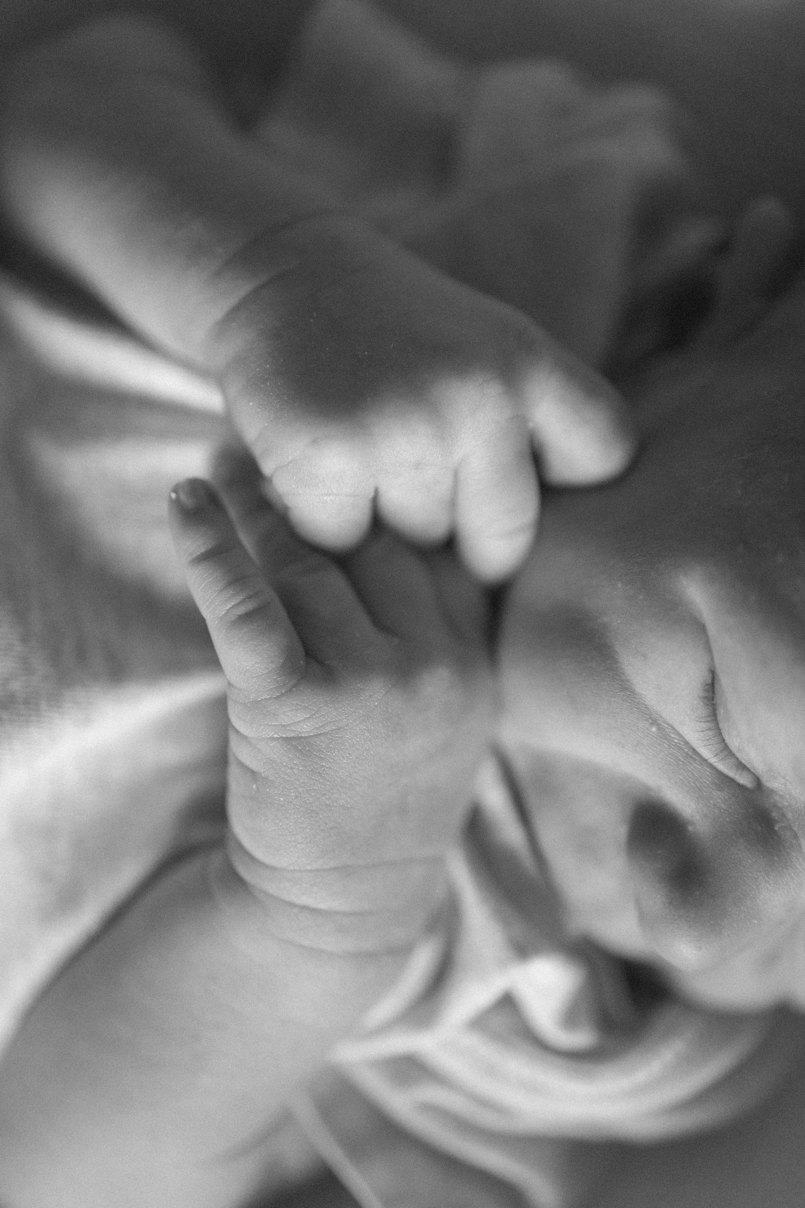 Лев родился. Семейный фотограф Елена Баган Волгоград