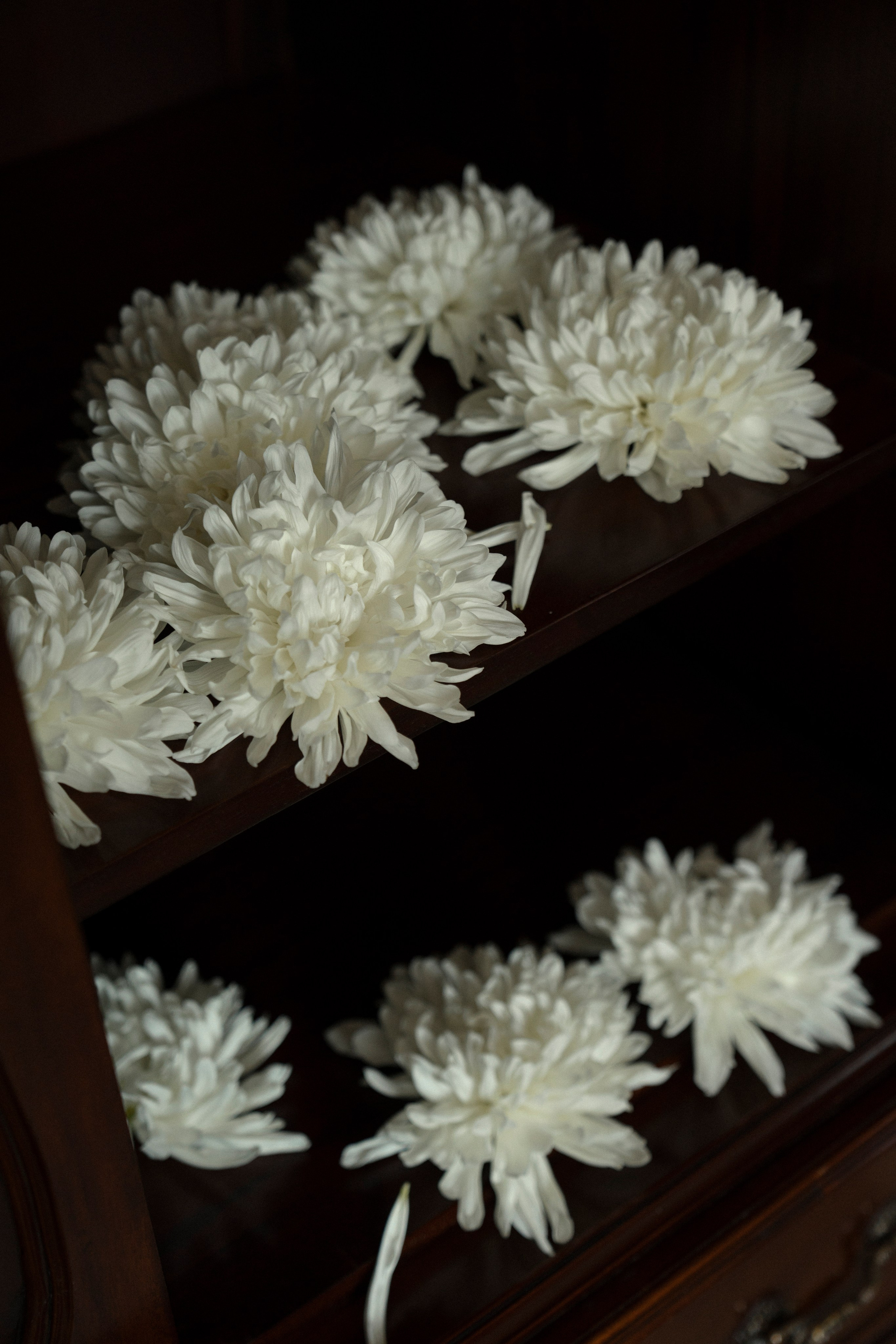 Масличко и тортик. Свадебный фотограф Наташа Брифли