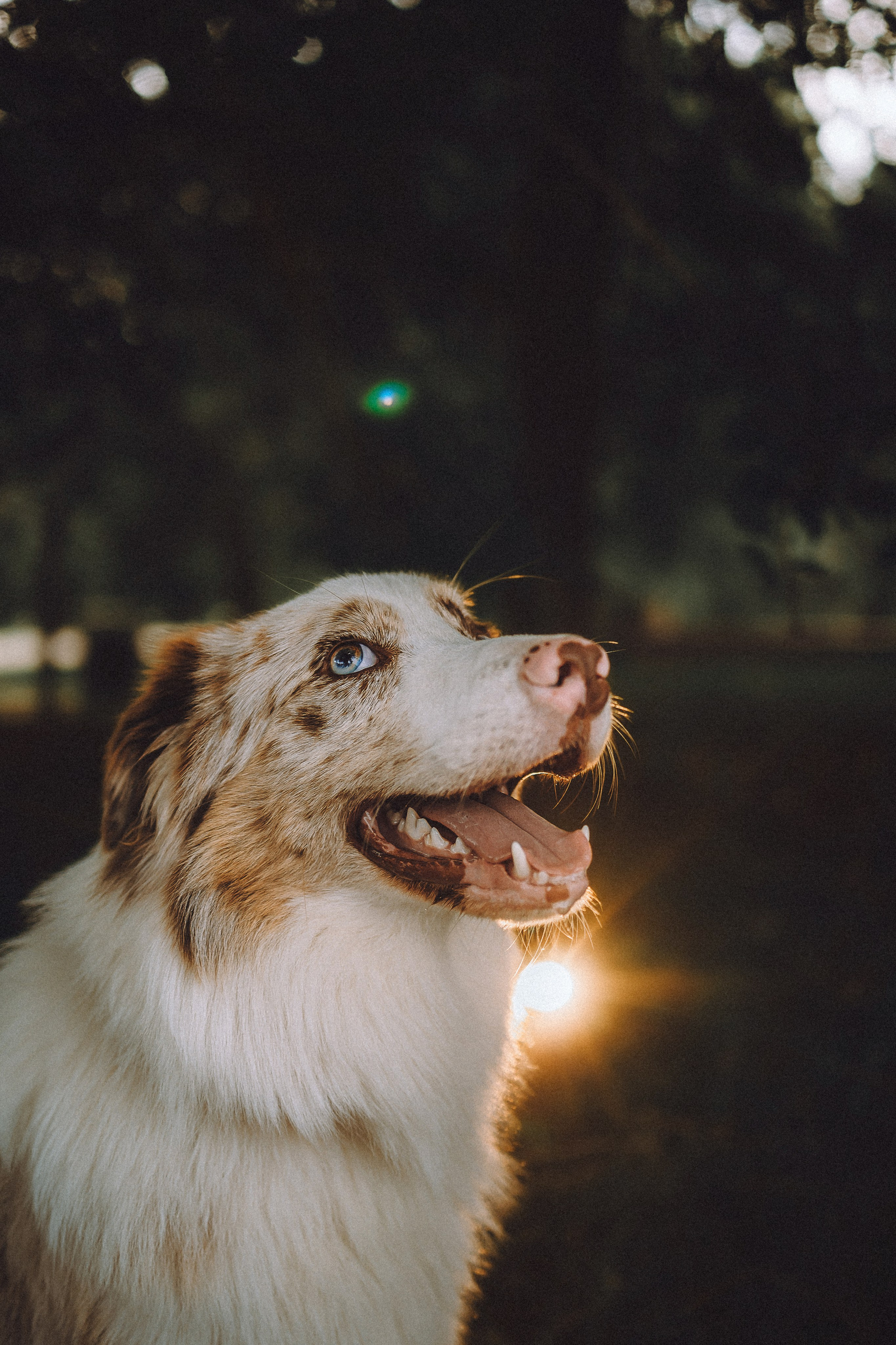 Один и его семья