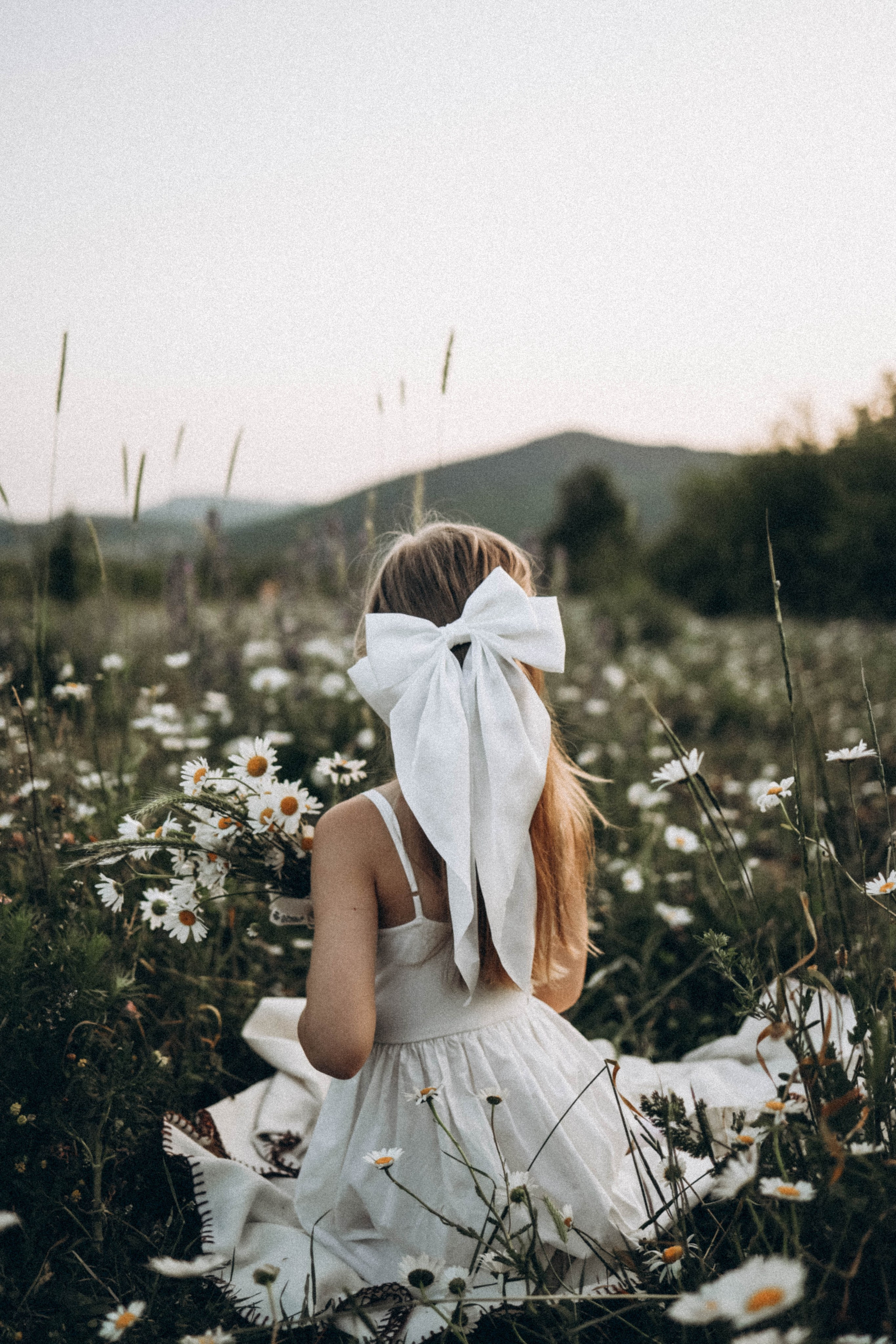 Ромашки. Фотограф Немазенко Ольга