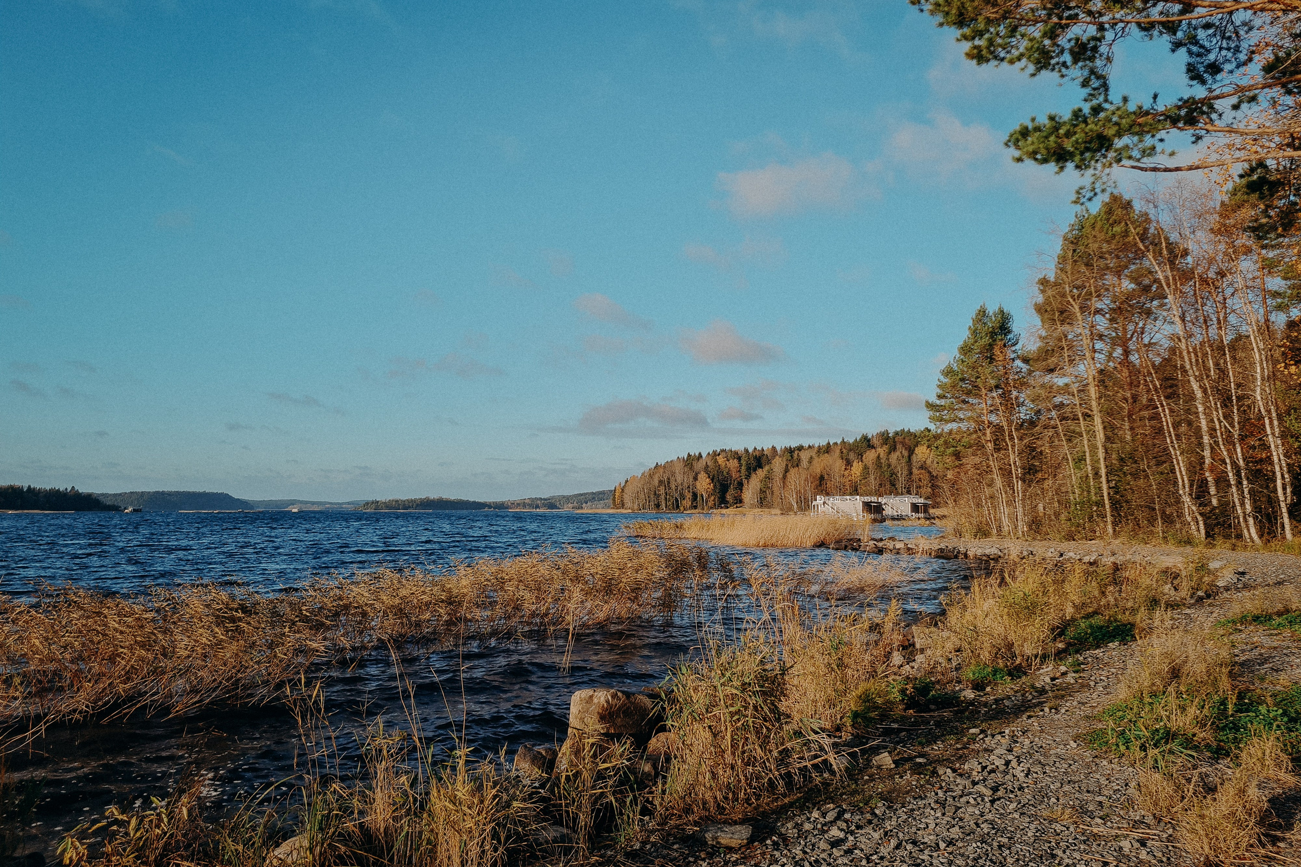 Осенняя поездка в Карелию. Свадебный фотограф в Санкт-Петербурге Венера Ахметова