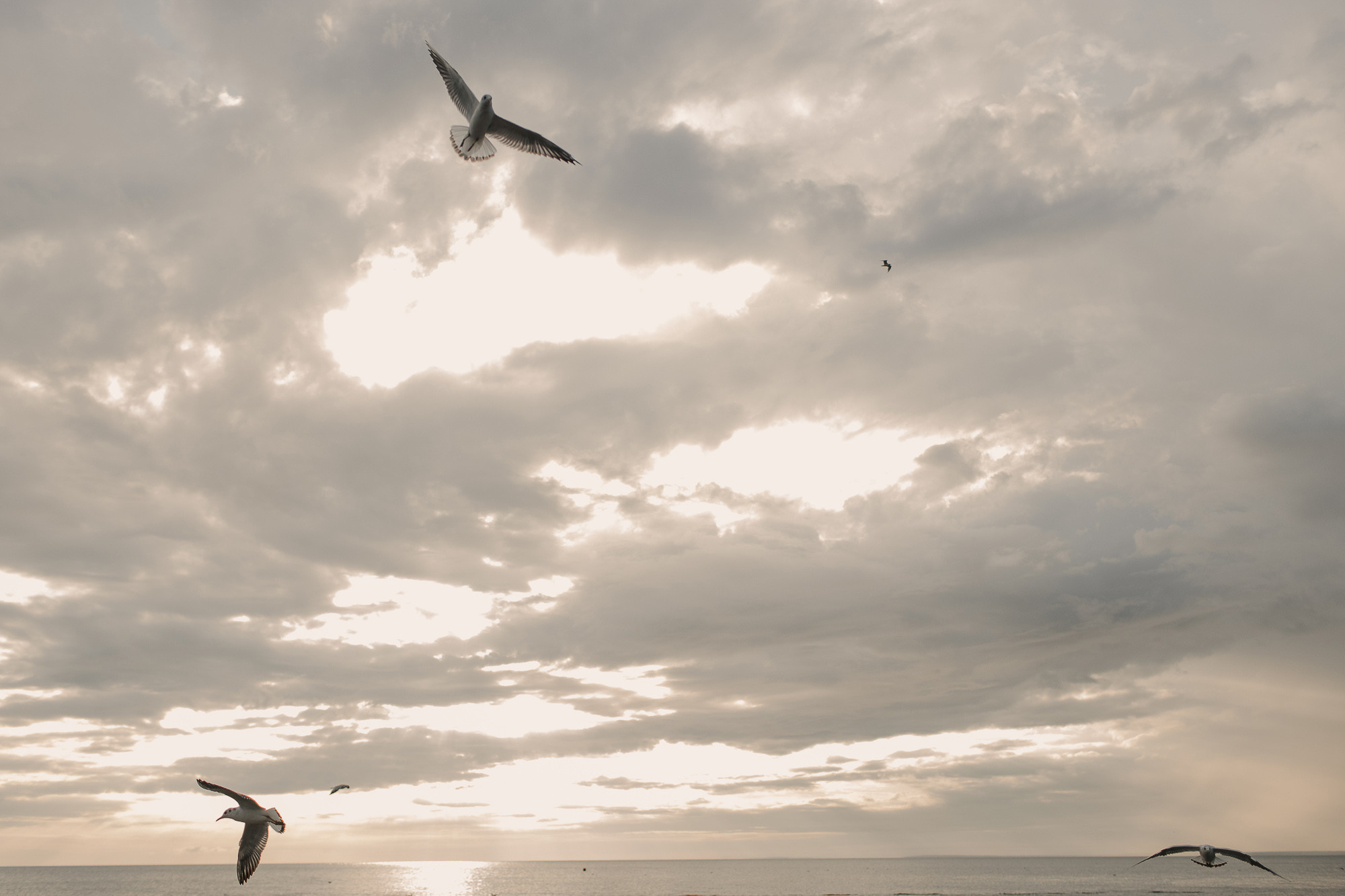 У большой воды. Портретный и свадебный фотограф в Санкт-Петербурге Ольга Филиппова