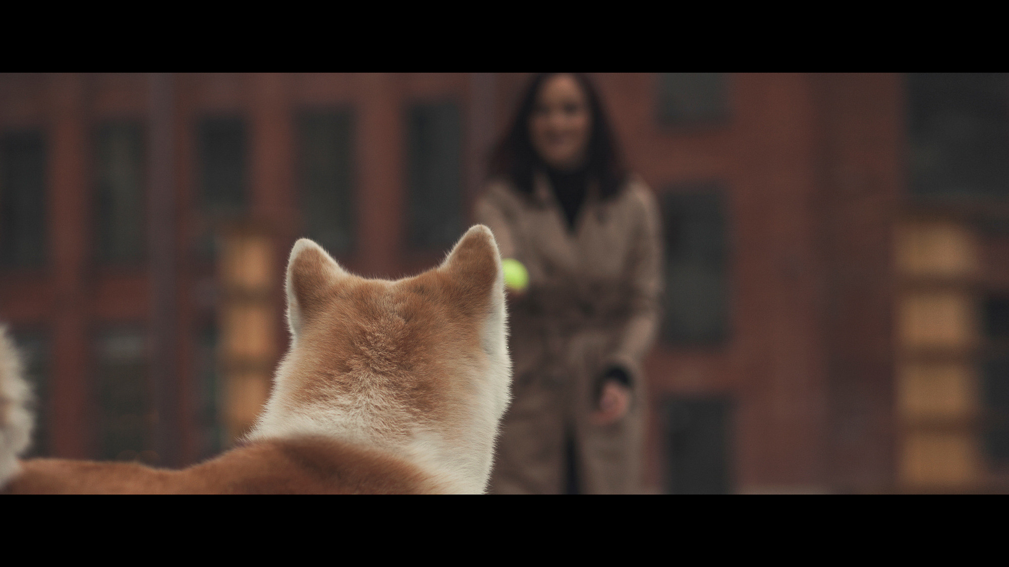 Он принесет тебе мяч, но на это будет особая причина. Портретный и свадебный фотограф в Санкт-Петербурге Ольга Филиппова