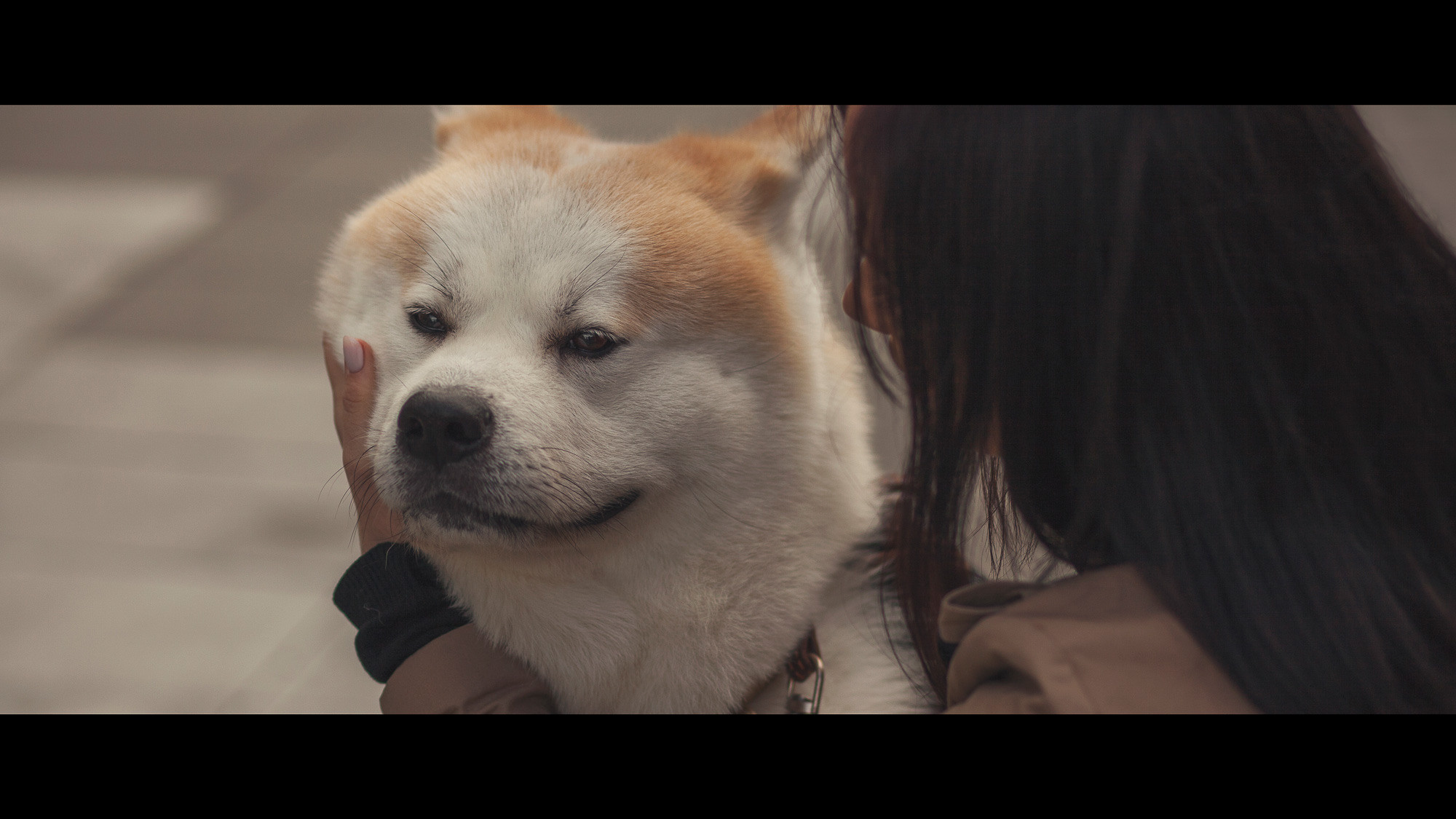 Он принесет тебе мяч, но на это будет особая причина. Портретный и свадебный фотограф в Санкт-Петербурге Ольга Филиппова