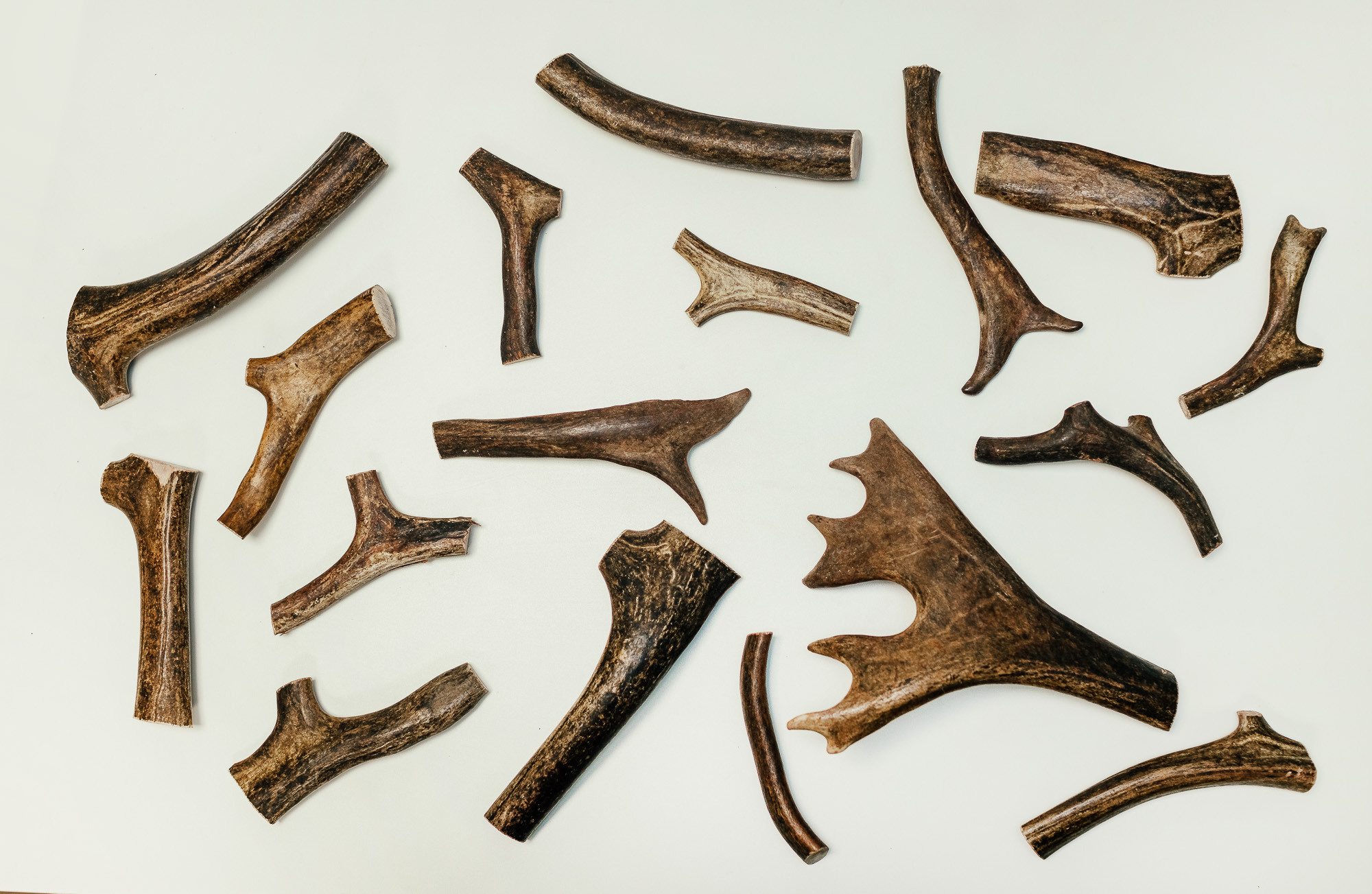 Контент для производителя лакомств для собак Lesli Goods. Портретный и свадебный фотограф в Санкт-Петербурге Ольга Филиппова