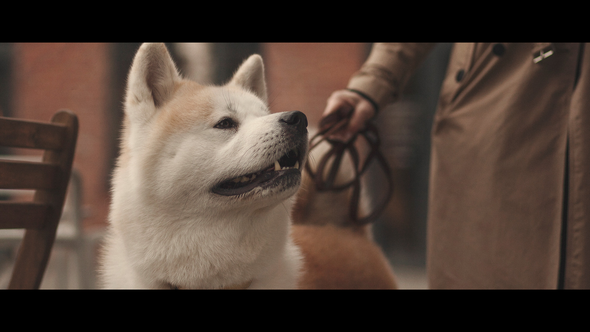 Он принесет тебе мяч, но на это будет особая причина. Портретный и свадебный фотограф в Санкт-Петербурге Ольга Филиппова