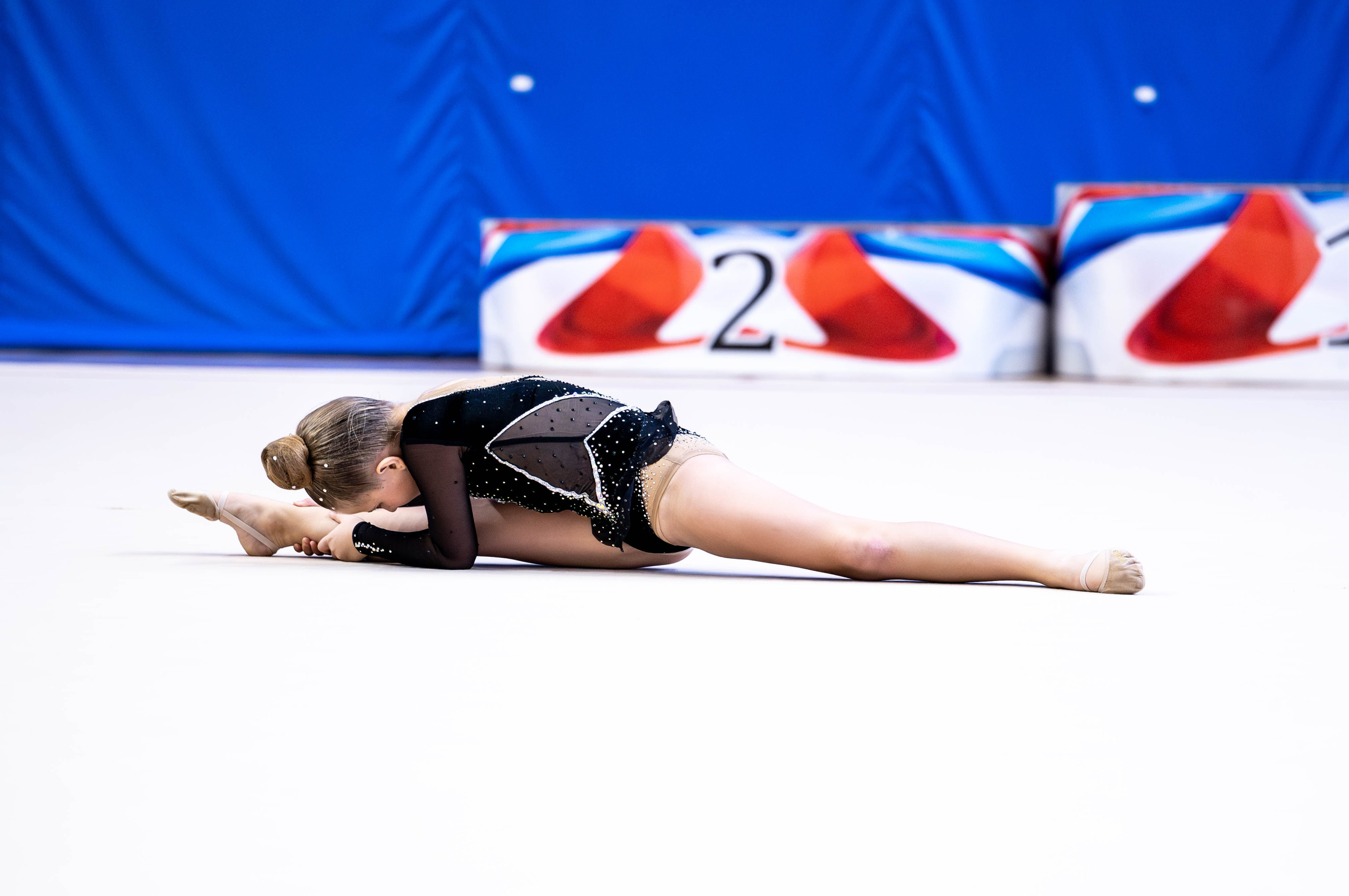 ЧиП Тульской области, ноябрь 2024. Спортивный фотограф в Туле и Тульской области. Файсханова Фото Спорт