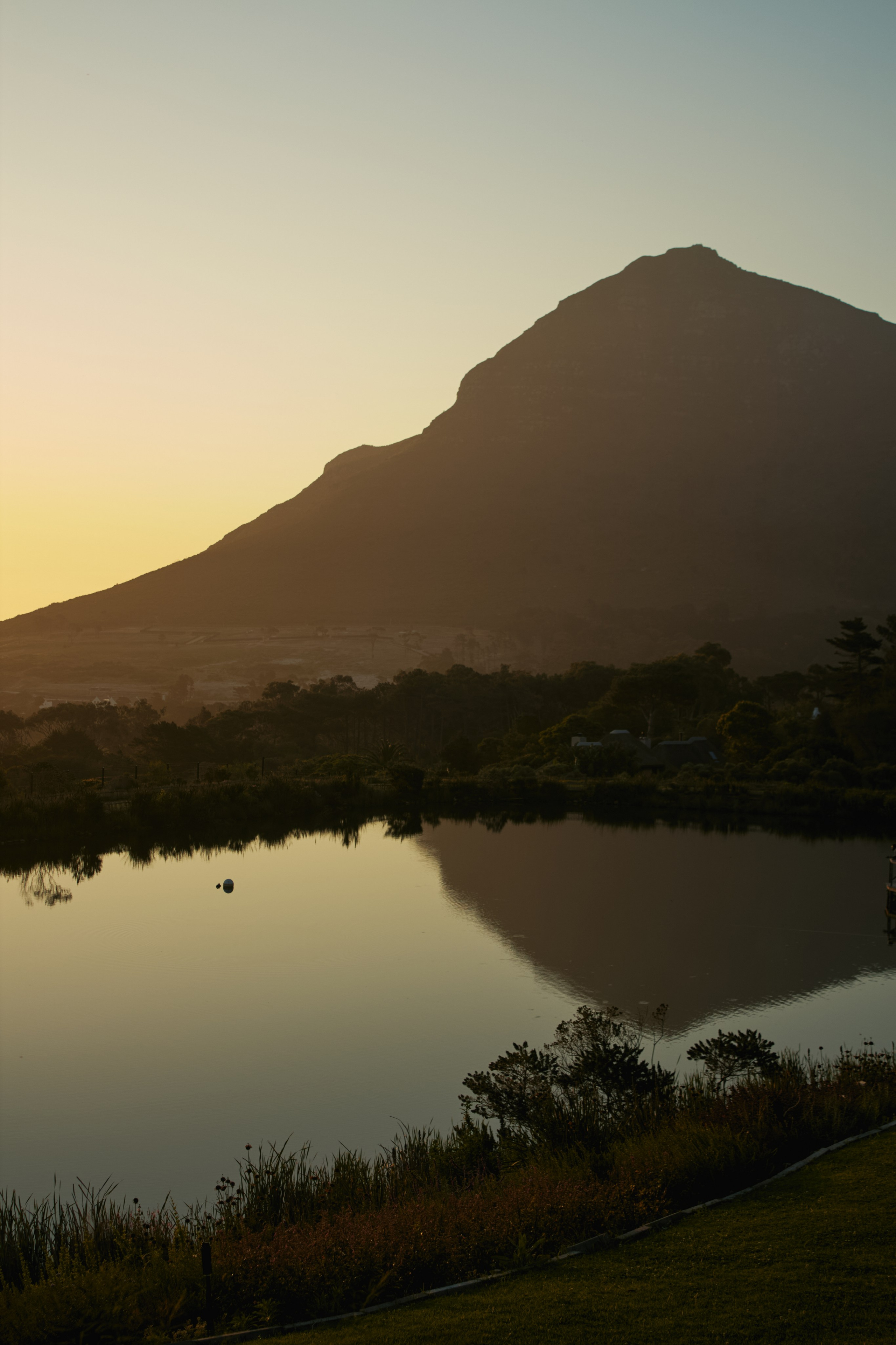 ЮАР. Профессиональный Фотограф во Владимире, в Москве и в Суздале — Полина Романычева