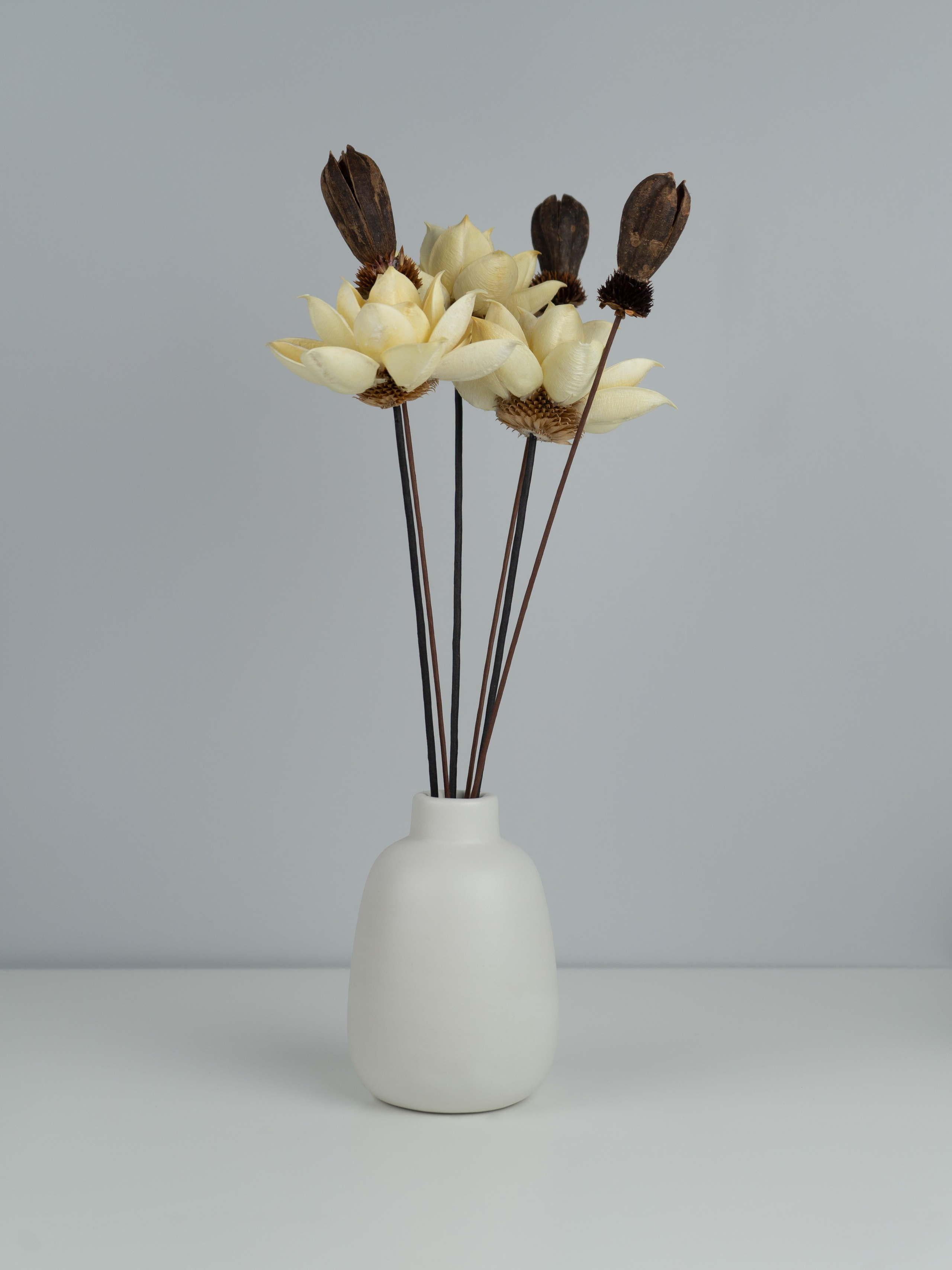 Ваза. Концептуальный фотограф Шлыкова Ольга