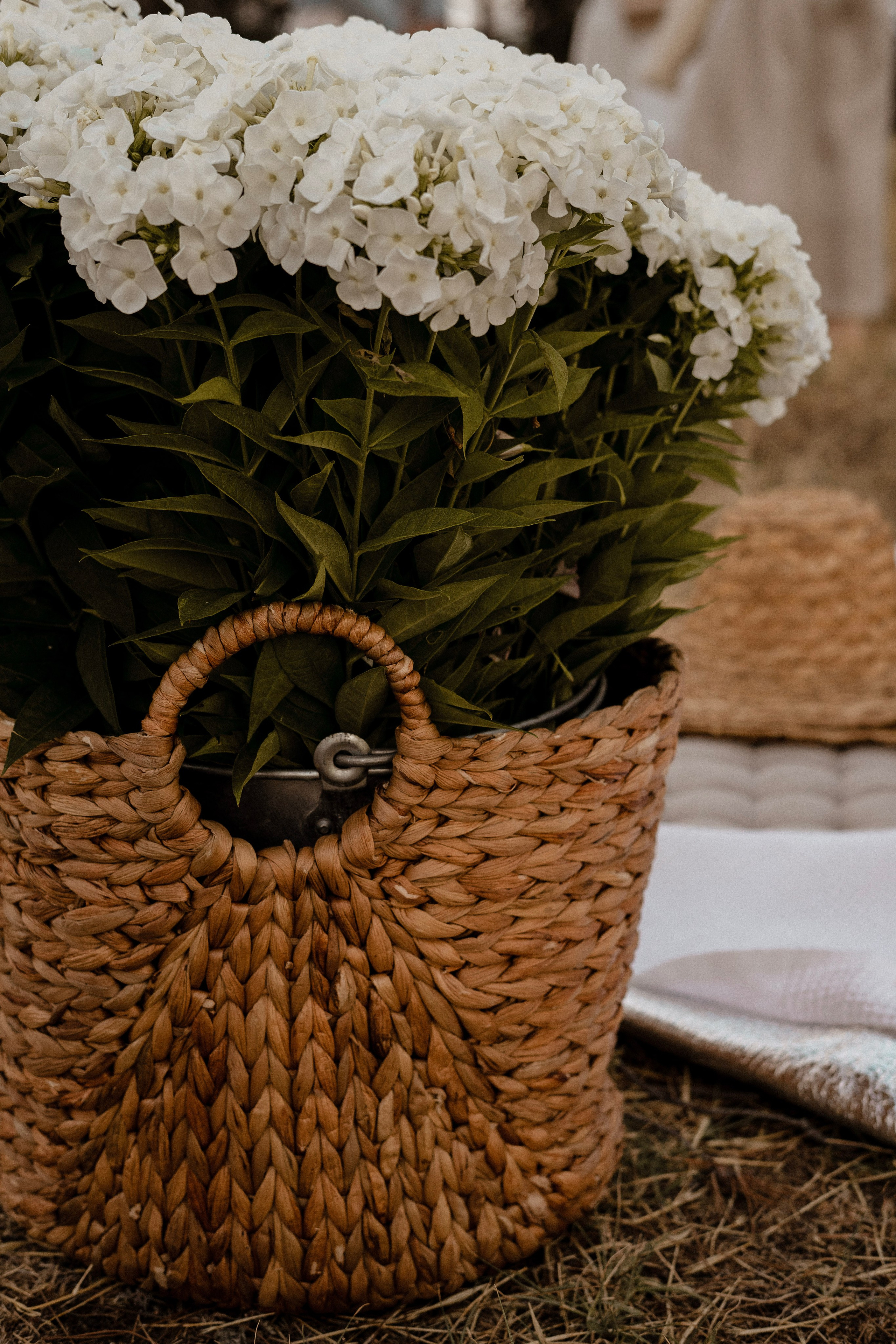 ПИКНИК. Портретный и семейный фотограф в Мариуполе, РФ. Даша Жогло