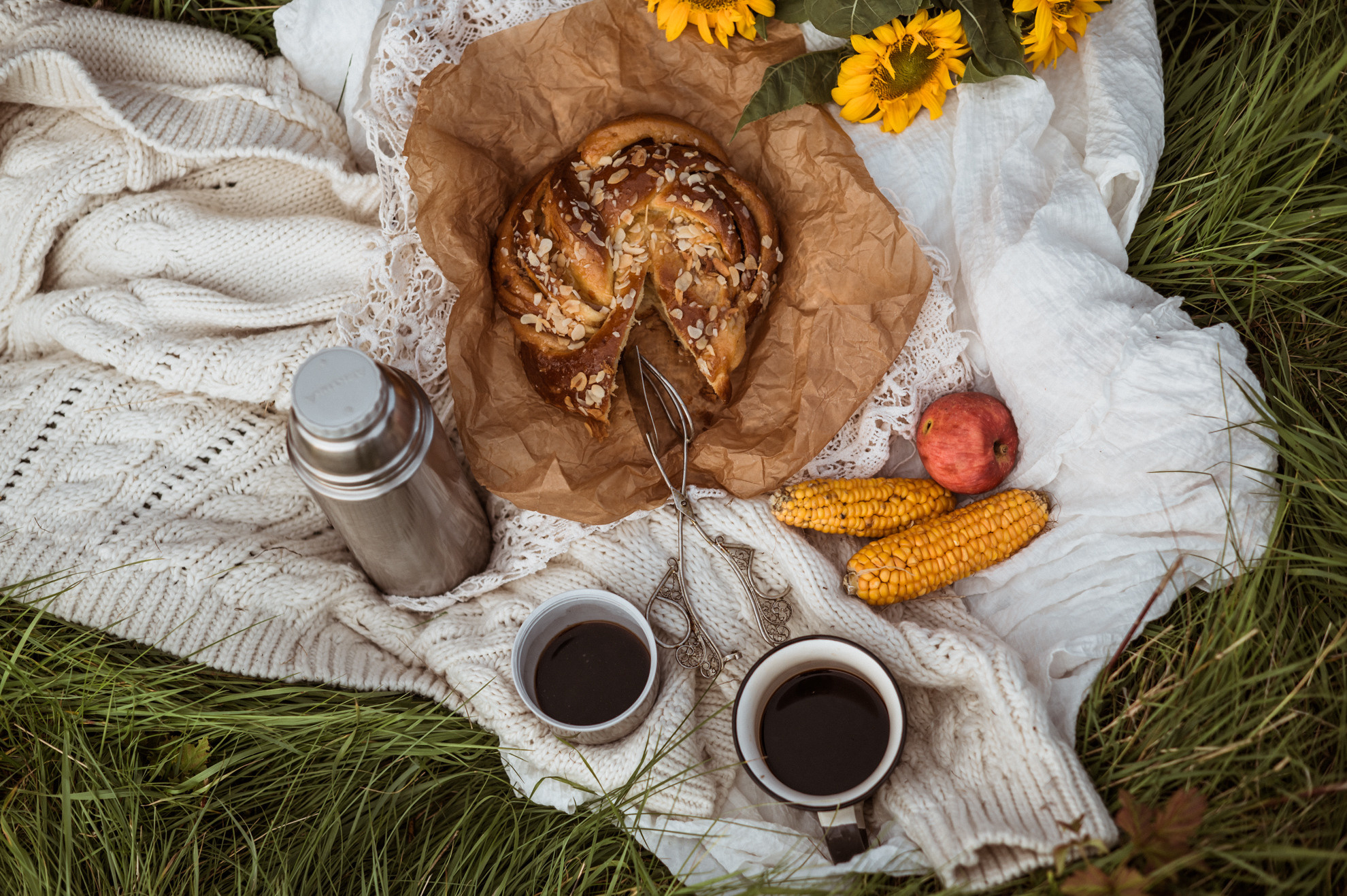 Picknick im Feld. Hochzeitsfotografin Leipzig Dresden