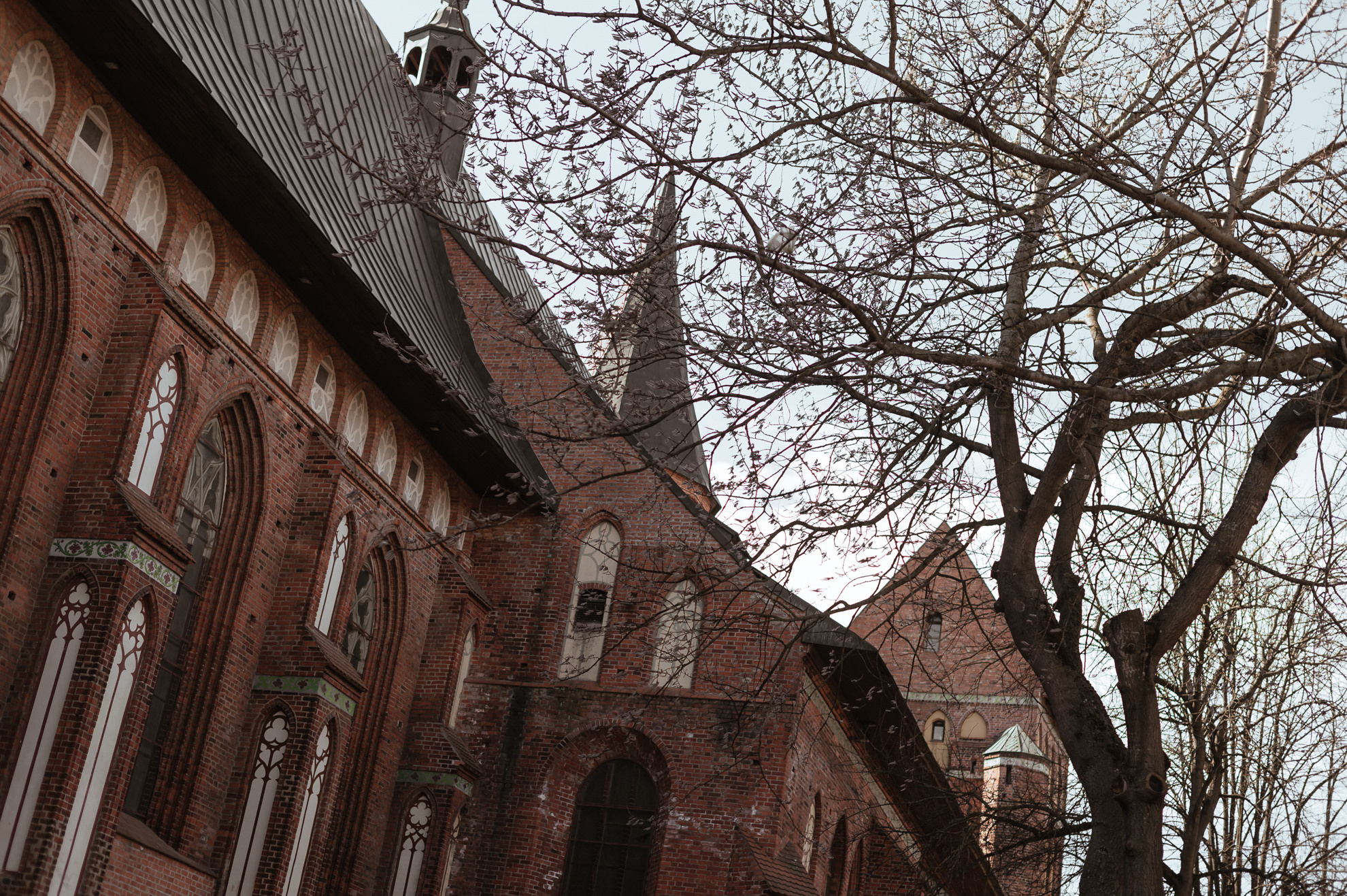 Sergej & Maria. Hochzeitsfotografin Leipzig Dresden
