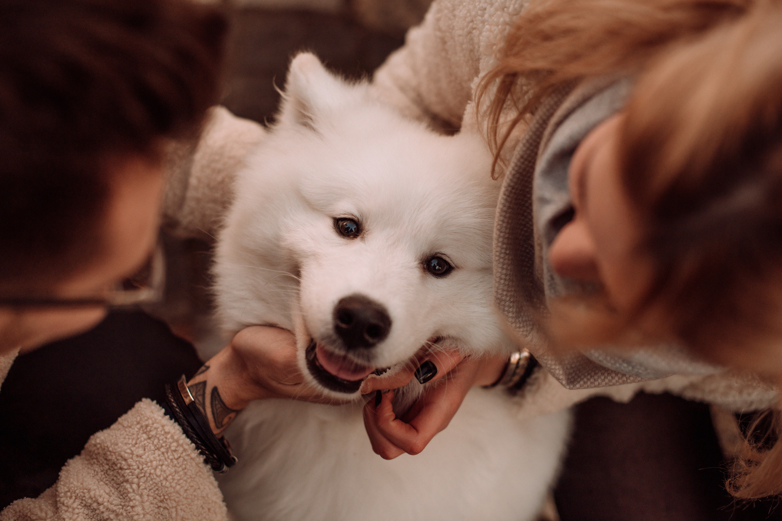 Mark & Lisa. Hochzeitsfotografin Leipzig Dresden