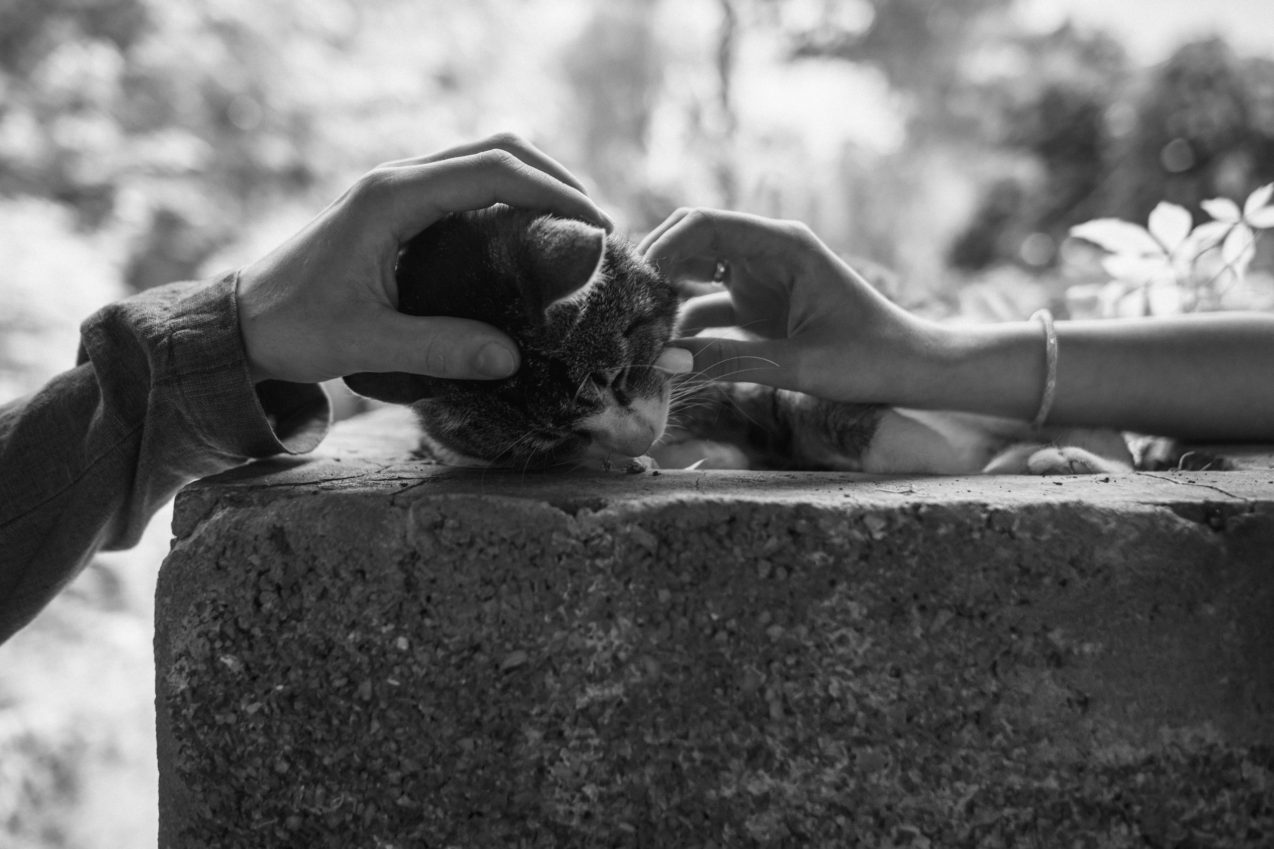 Andrej & Elisabeth. Hochzeitsfotografin Leipzig Dresden