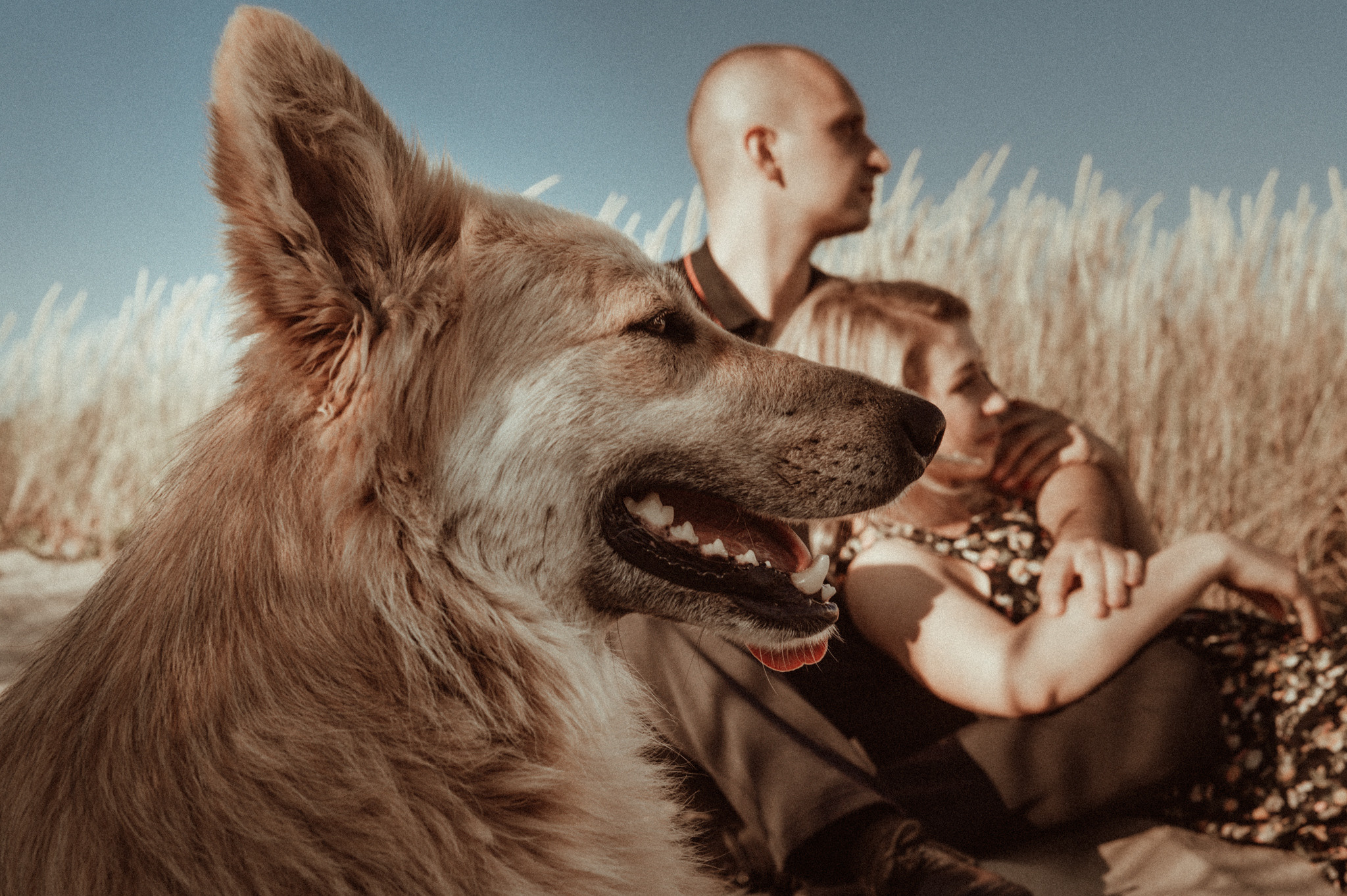 Juri & Alina. Hochzeitsfotografin Leipzig Dresden