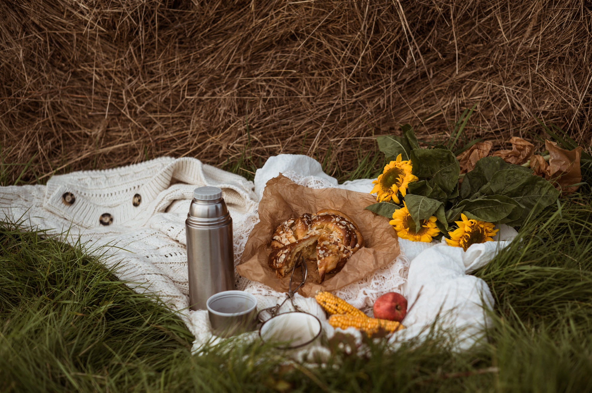 Picknick im Feld. Hochzeitsfotografin Leipzig Dresden