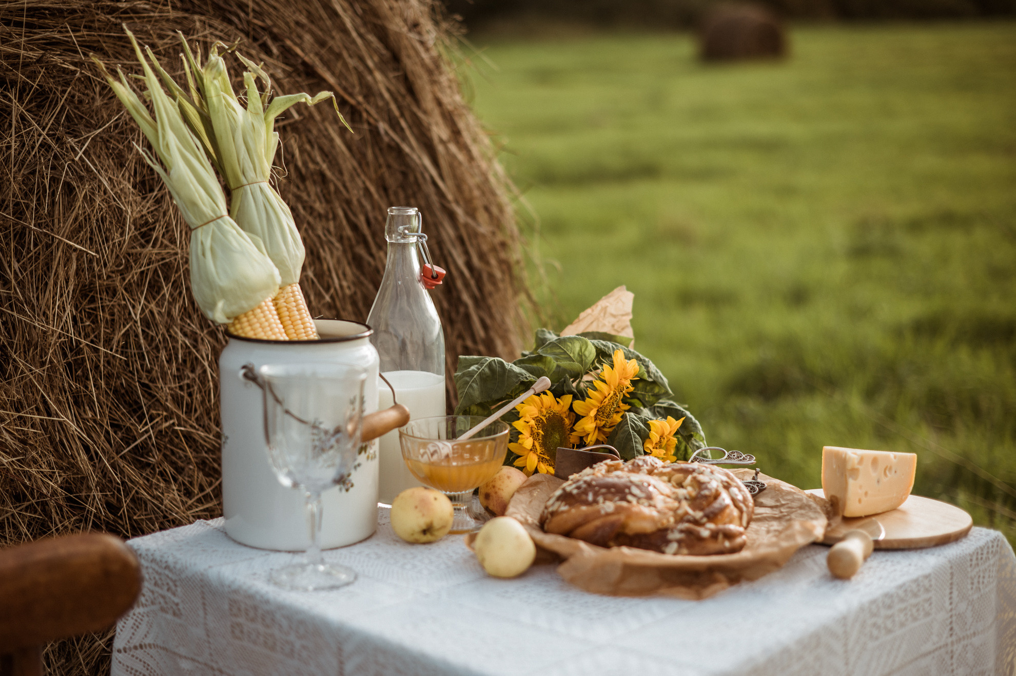 Picknick im Feld. Hochzeitsfotografin Leipzig Dresden
