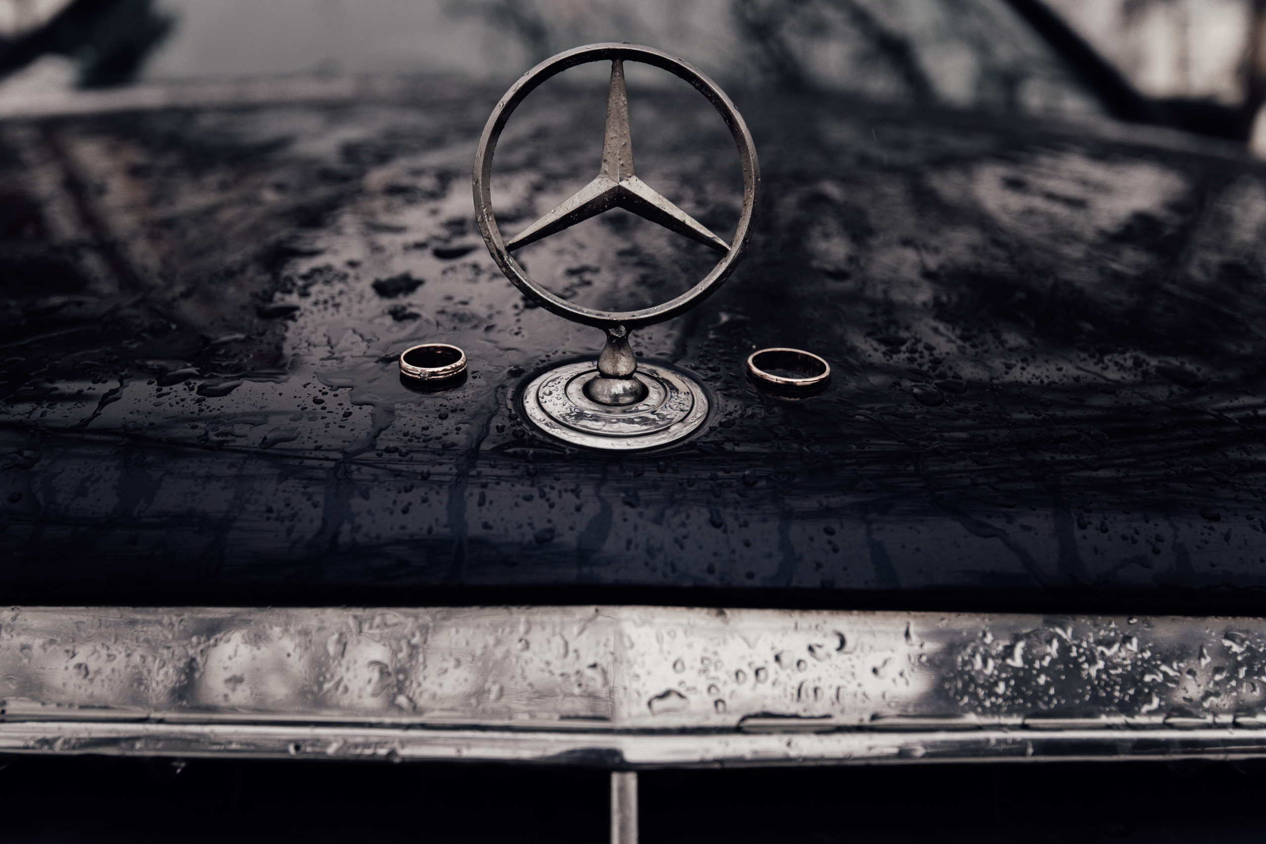 Dmitri & Alena. Hochzeitsfotografin Leipzig Dresden