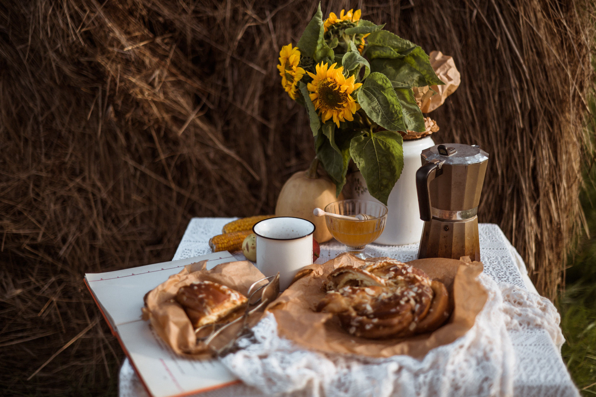 Picknick im Feld. Hochzeitsfotografin Leipzig Dresden