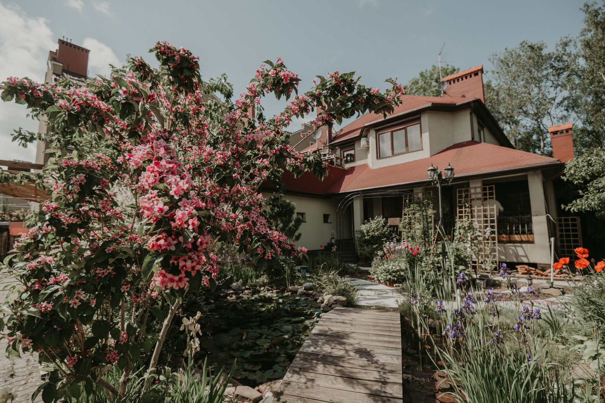 Michael, Polina, Maxim. Hochzeitsfotografin Leipzig Dresden