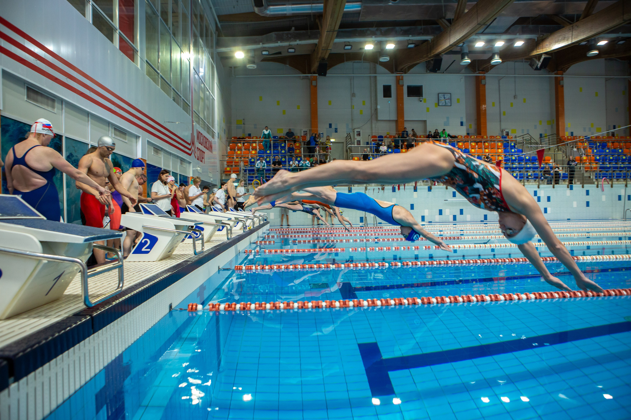 Турнир по плаванию. Репортажный, семейный, свадебный, портретный фотограф