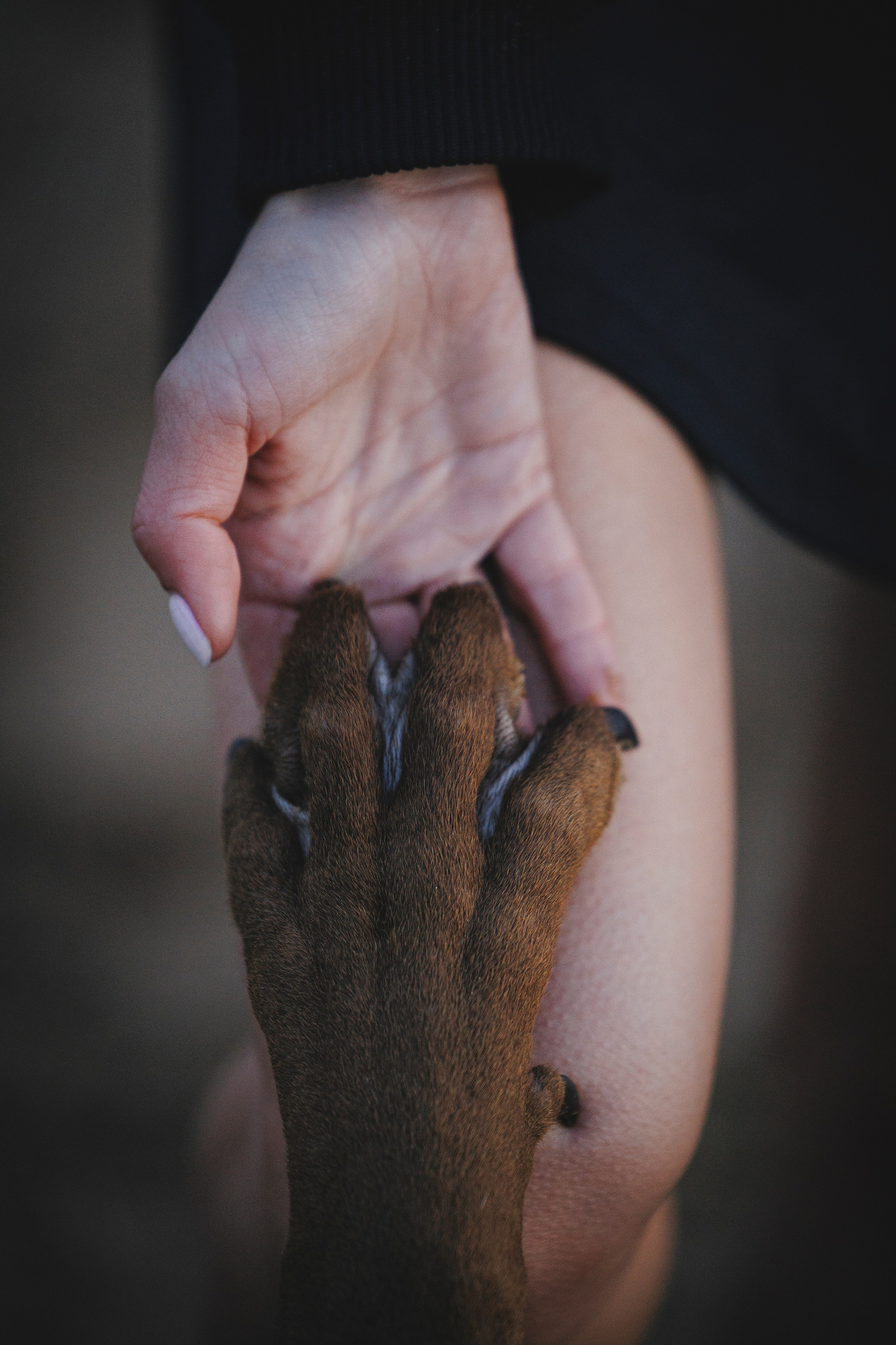 Яна и Энди. Фотограф-анималист Анна Маринич