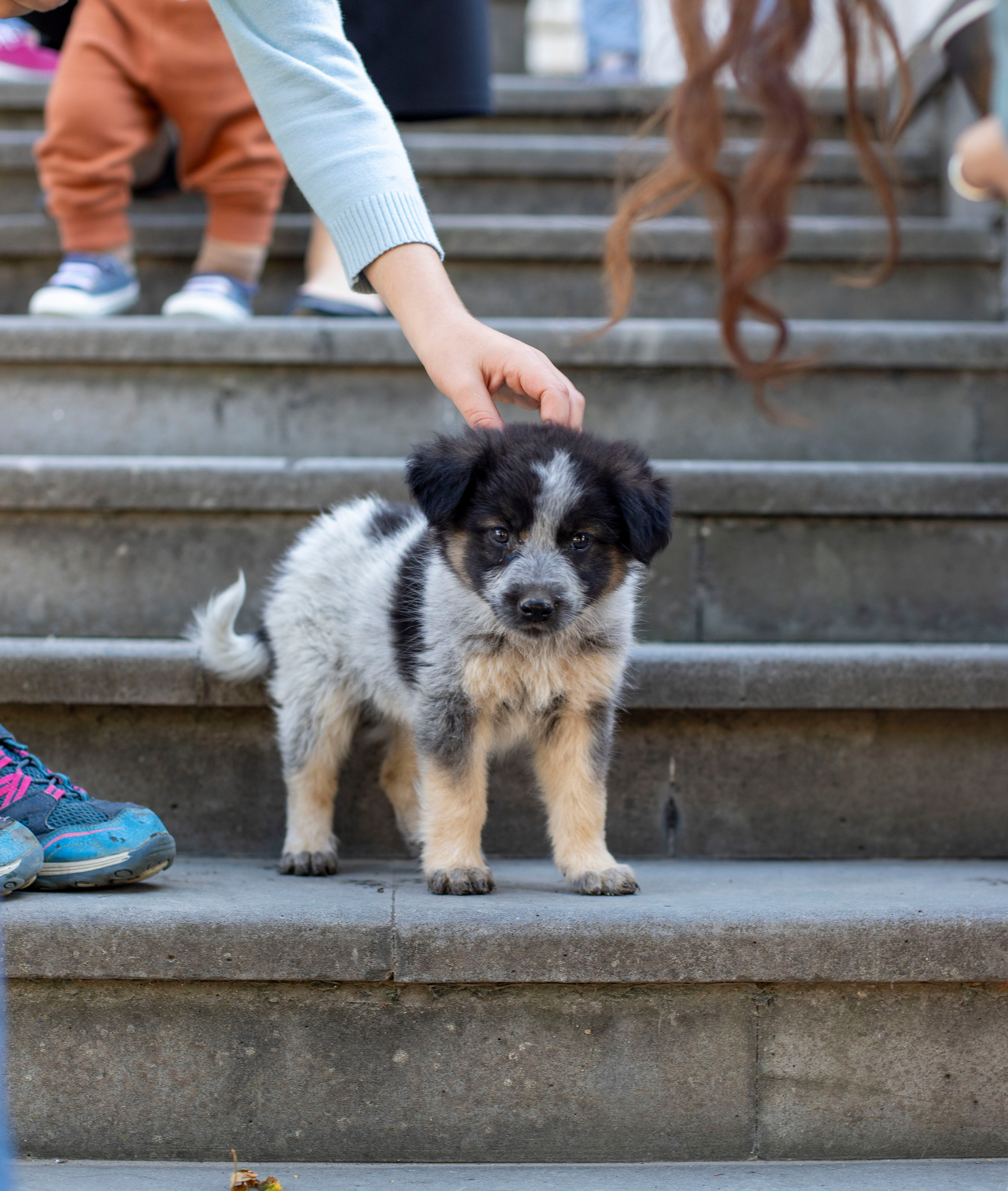 Выставка в г. Дилижан, Армения. Фоторепортаж А.Бабышевой. Арт-фотограф Ксения Якутович