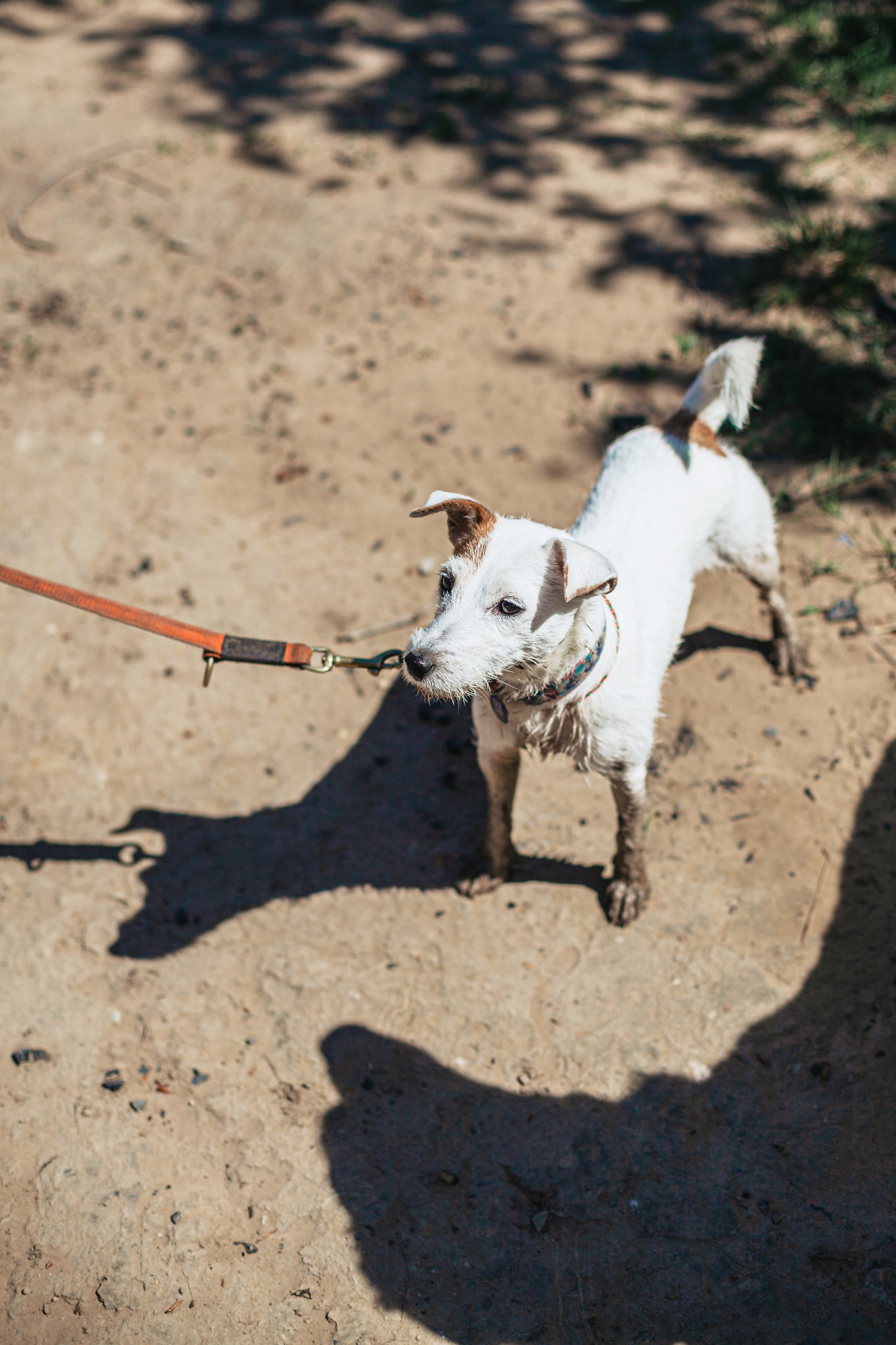 Кондуки. Фотограф-анималист Татьяна Степанова