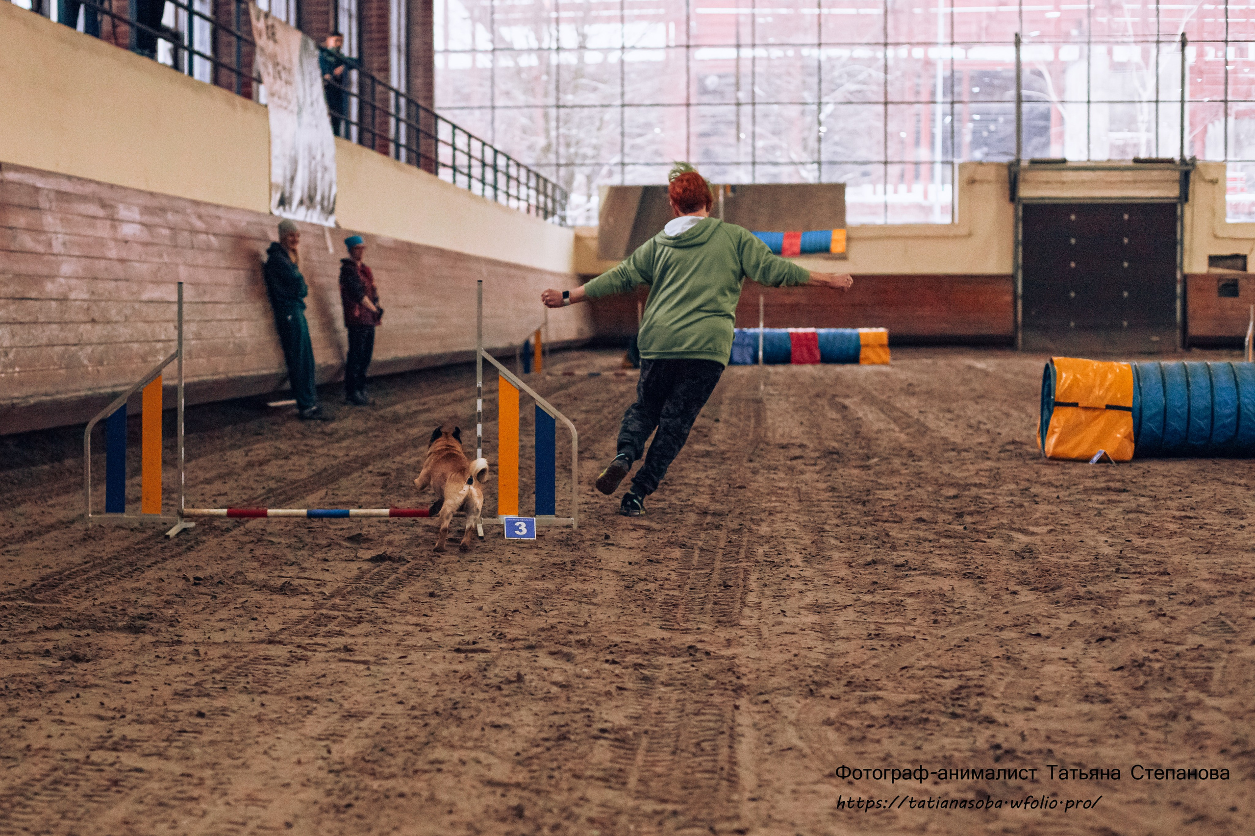 Соревнования по Аджилити 25.02.2024. Фотограф-анималист Татьяна Степанова