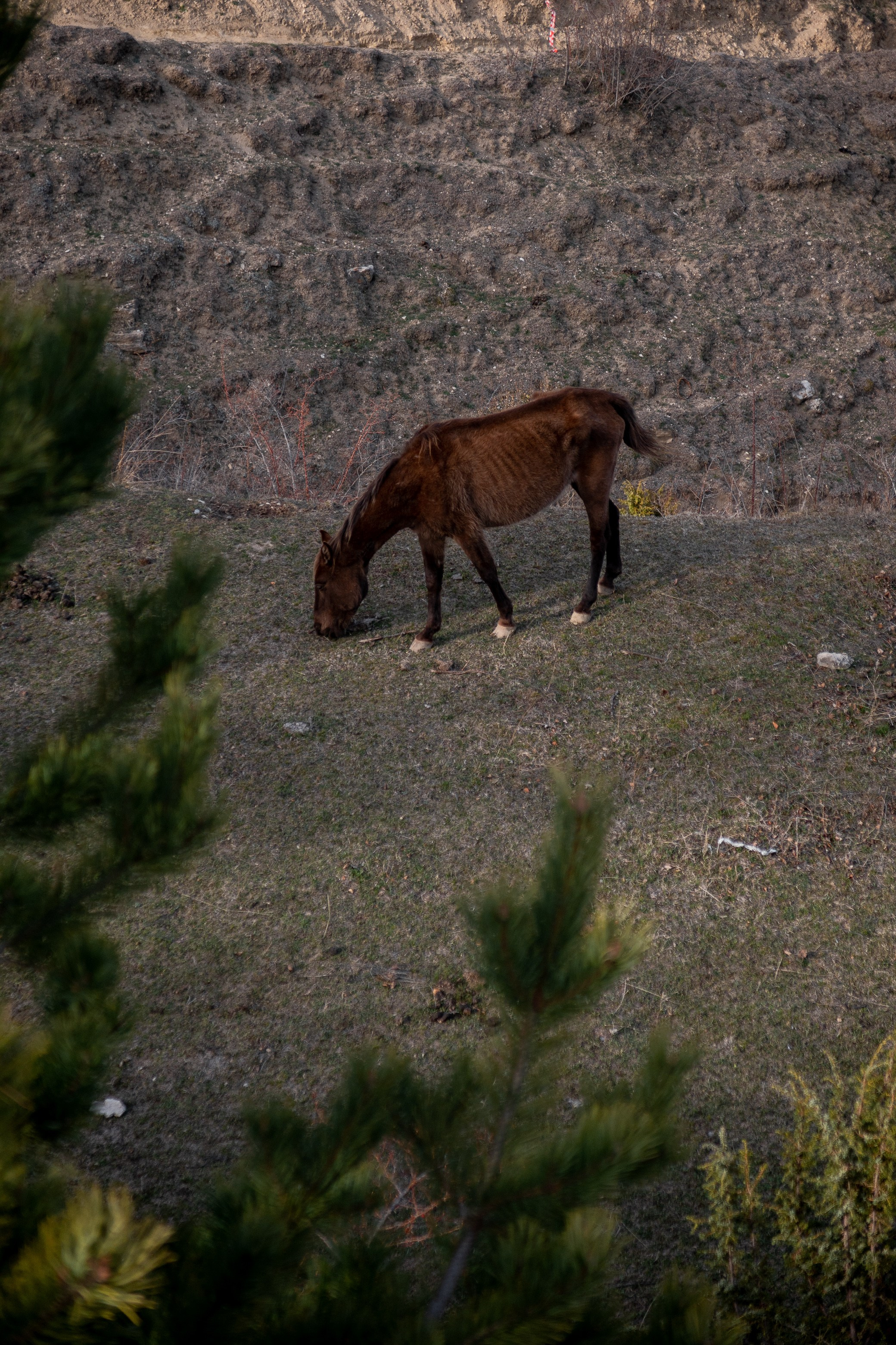 Поездка в Дагестан (село Гуниб) на съемку трейла Wild Trail. Павел Шарапов | Фотограф | Москва