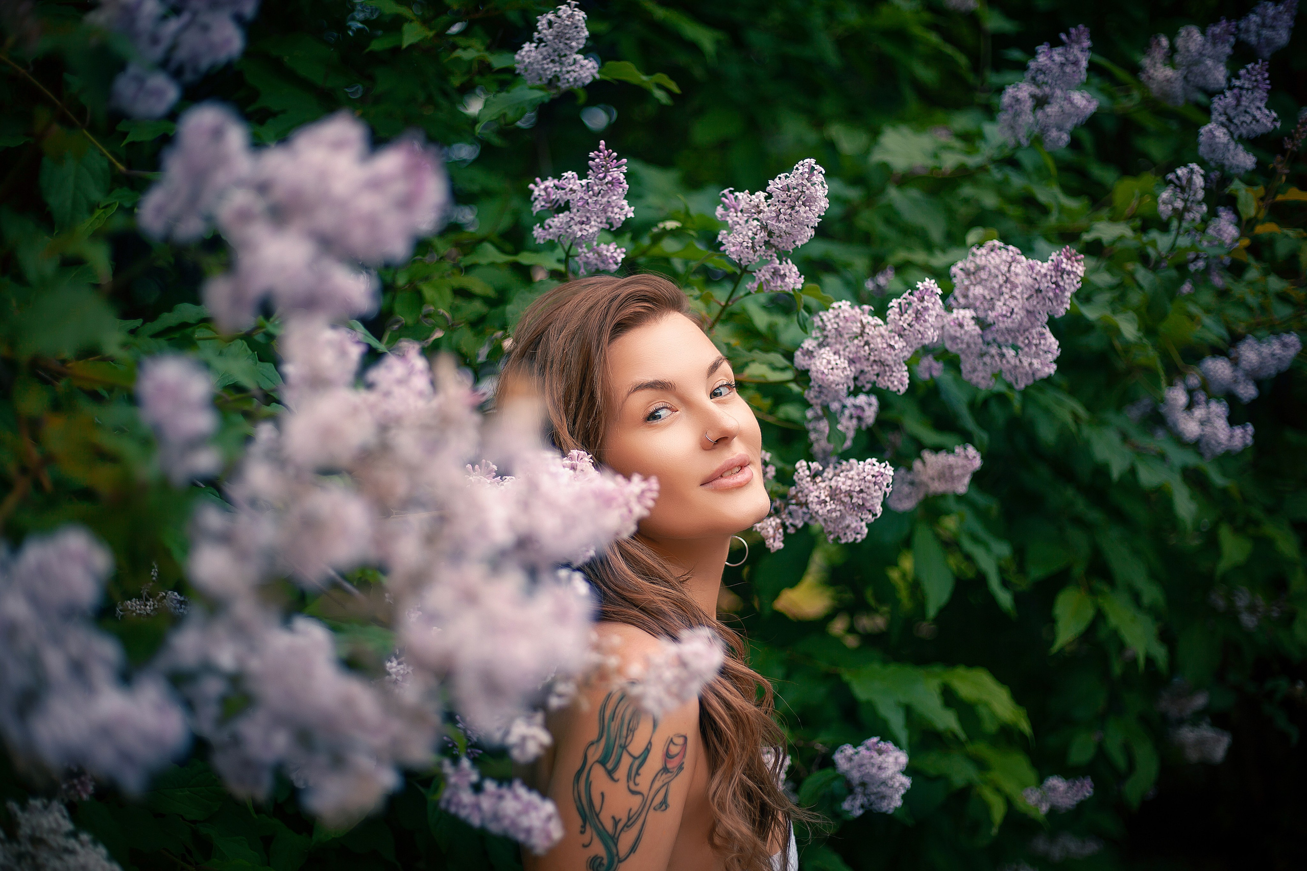 Люпины. Фотограф Мария Кольцова