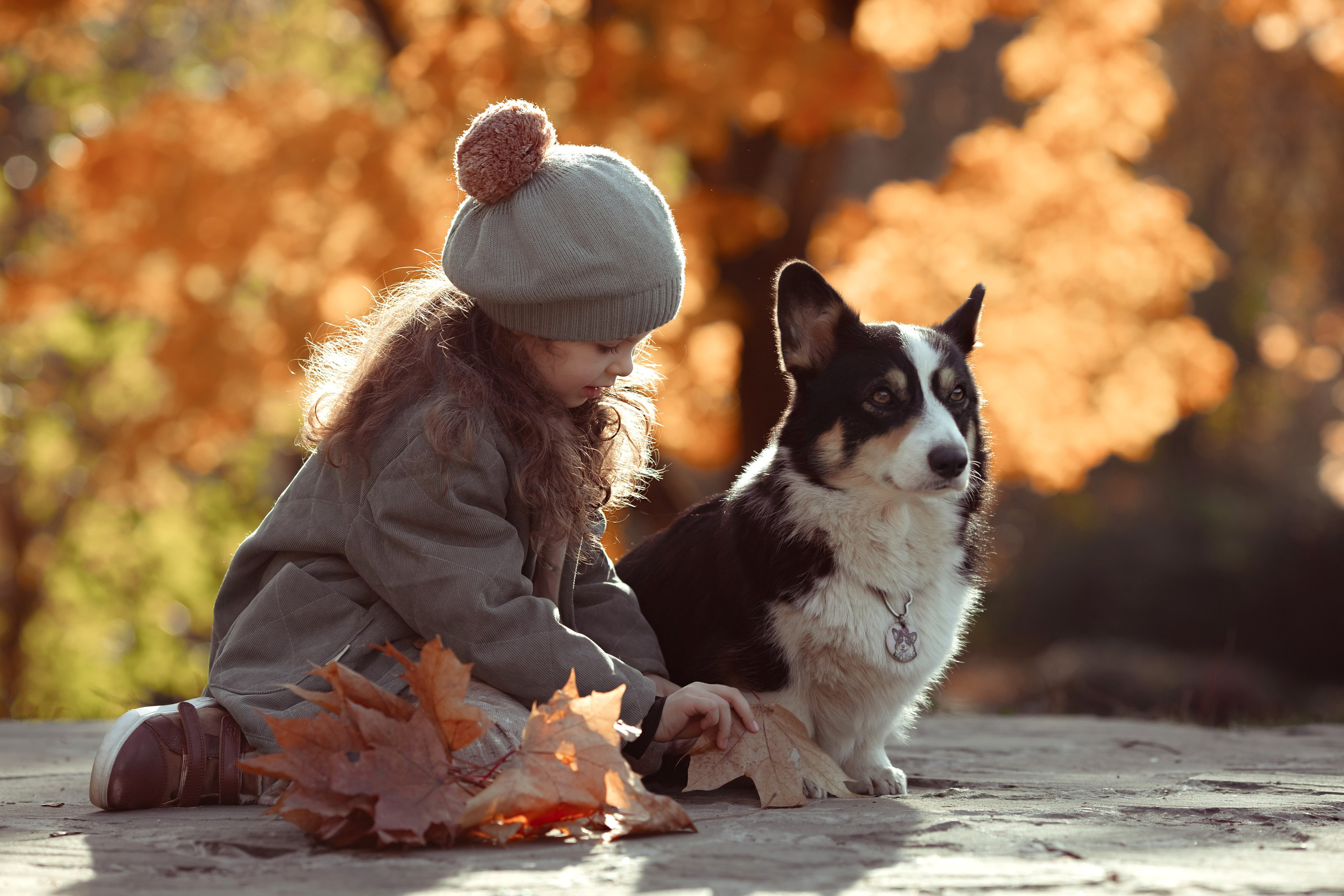 Эва с корги. Семейный и детский фотограф в Москве Дорогова Екатерина