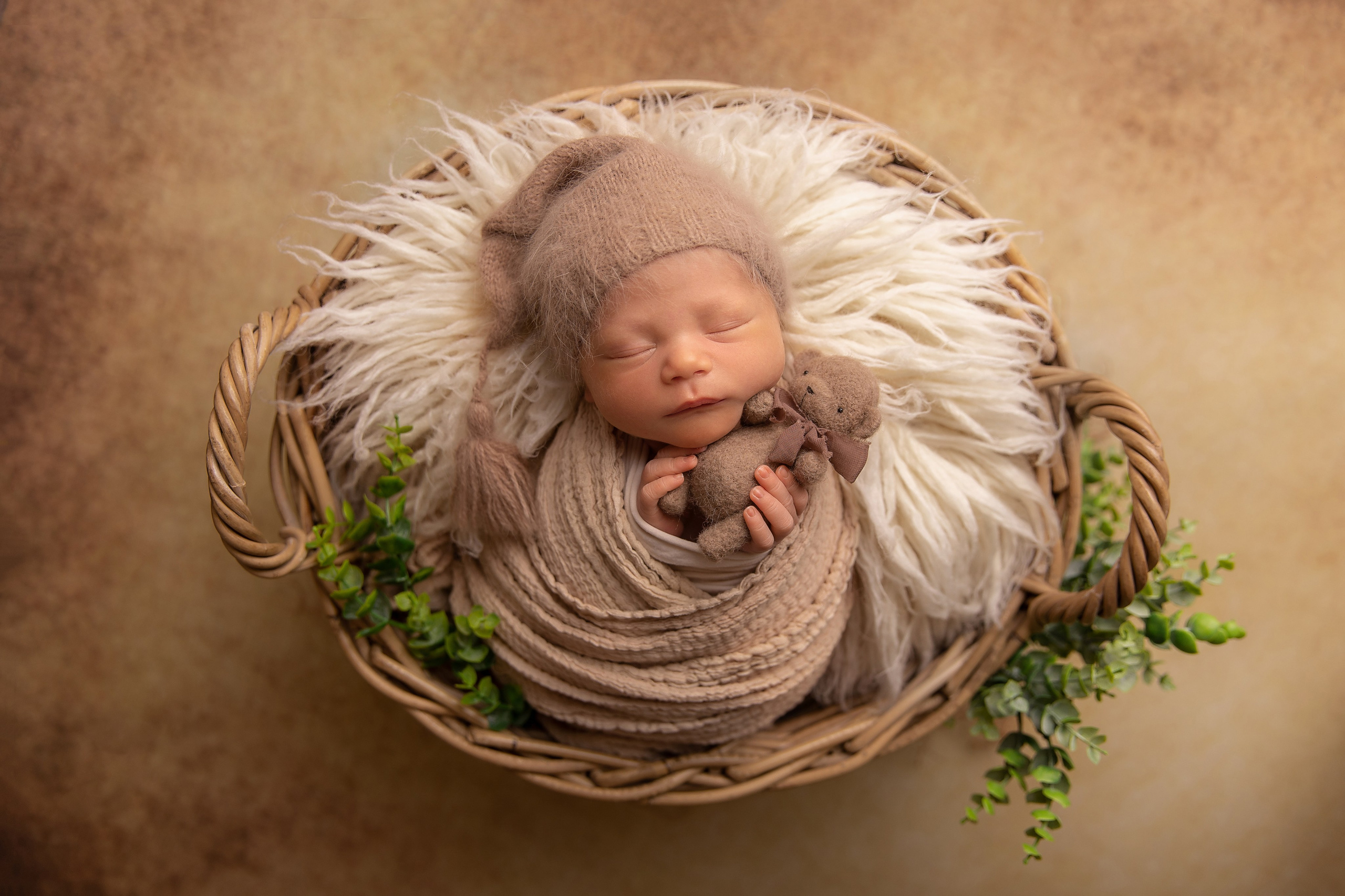 Chocolate. Фотограф новорожденных, семейный фотограф в Санкт-Петербурге