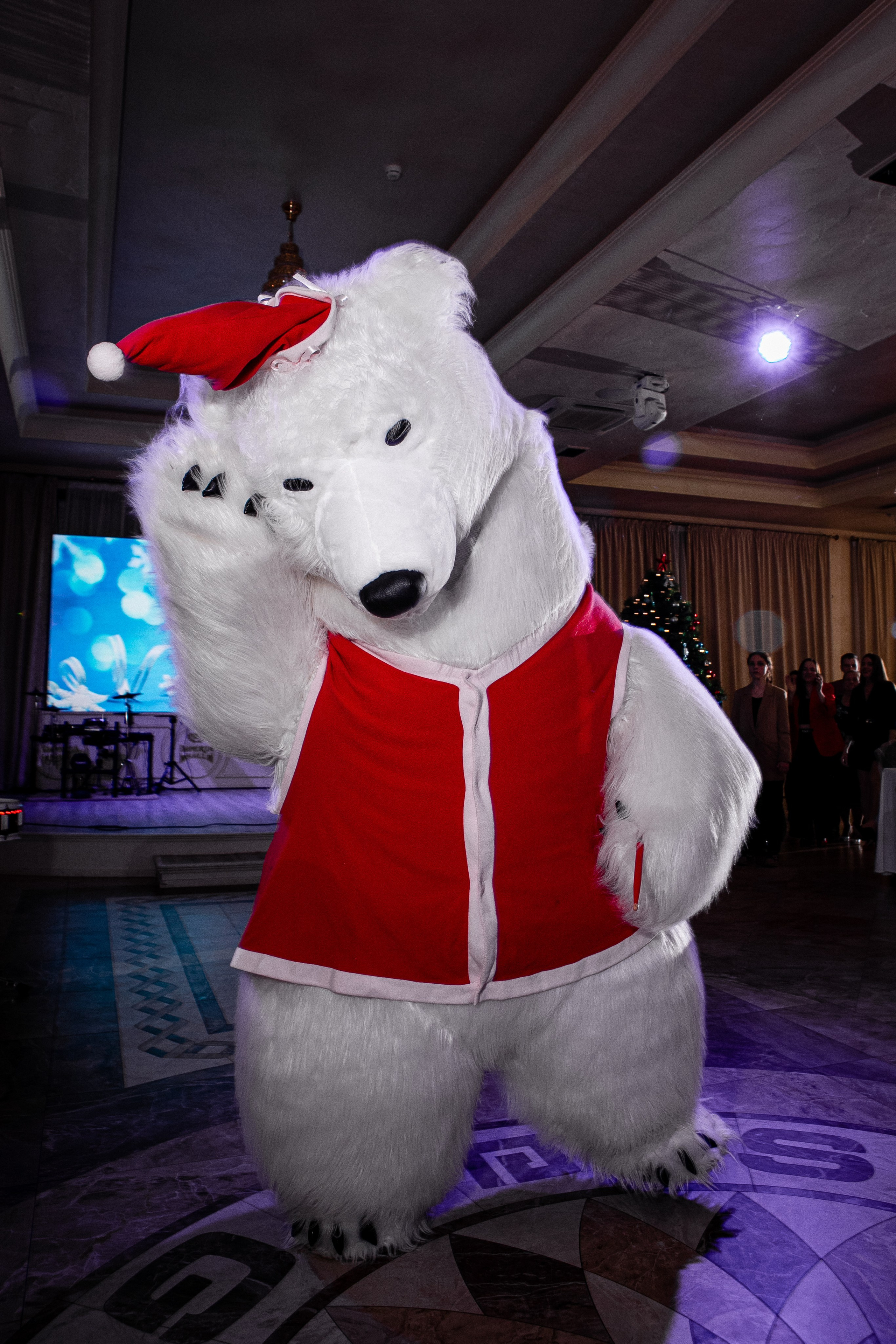 Фото и Видеосъемка Корпоративов и Праздников в СПб. Фото и Видеосъемка на ваше мероприятие. Александр Романов