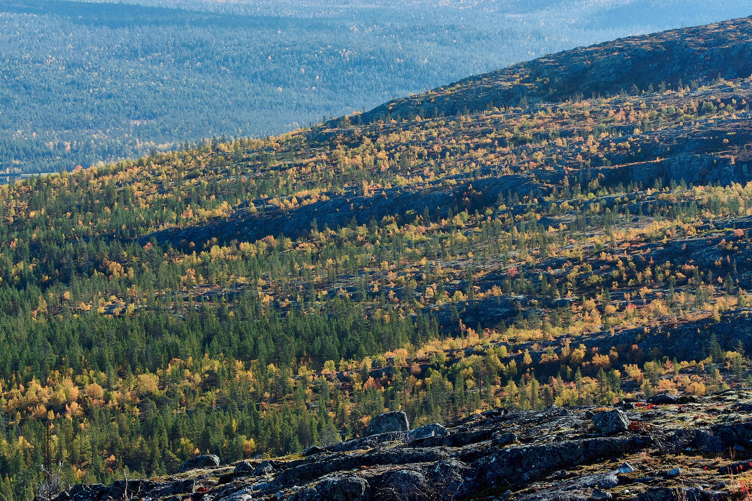 Тундра Лес и Сопки. Пейзажи Крайнего Севера. Баренцево море, Рыбачий, Средний, Немецкий