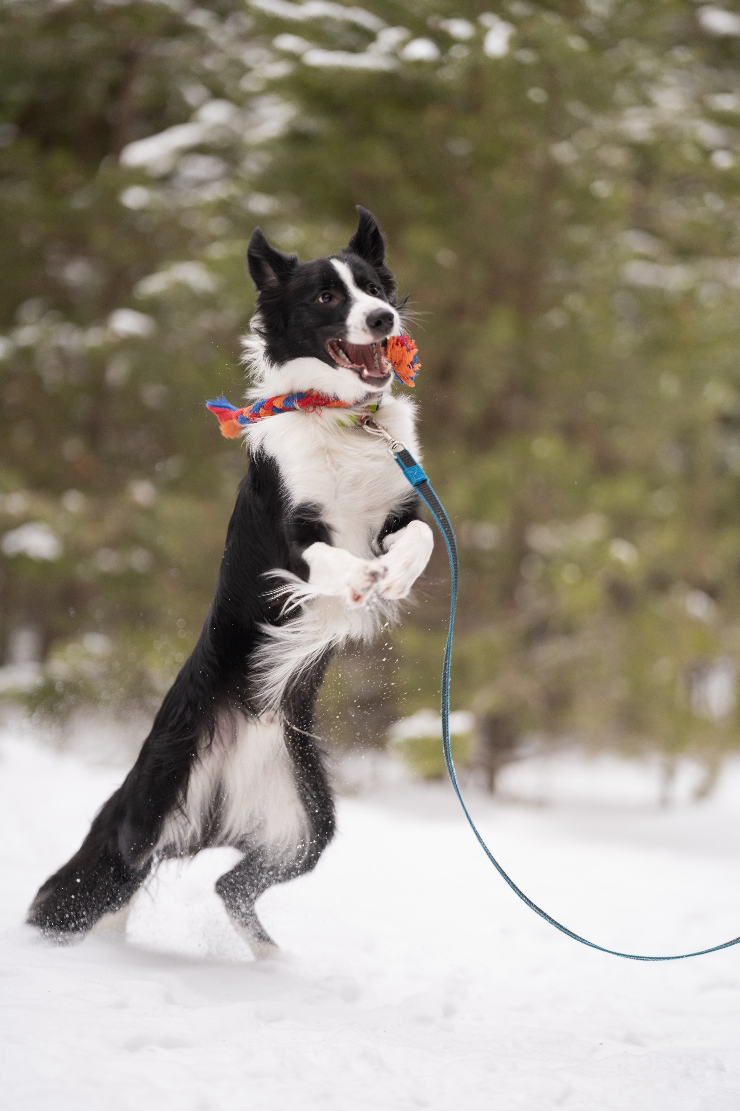 Близзард. Kameramotor74