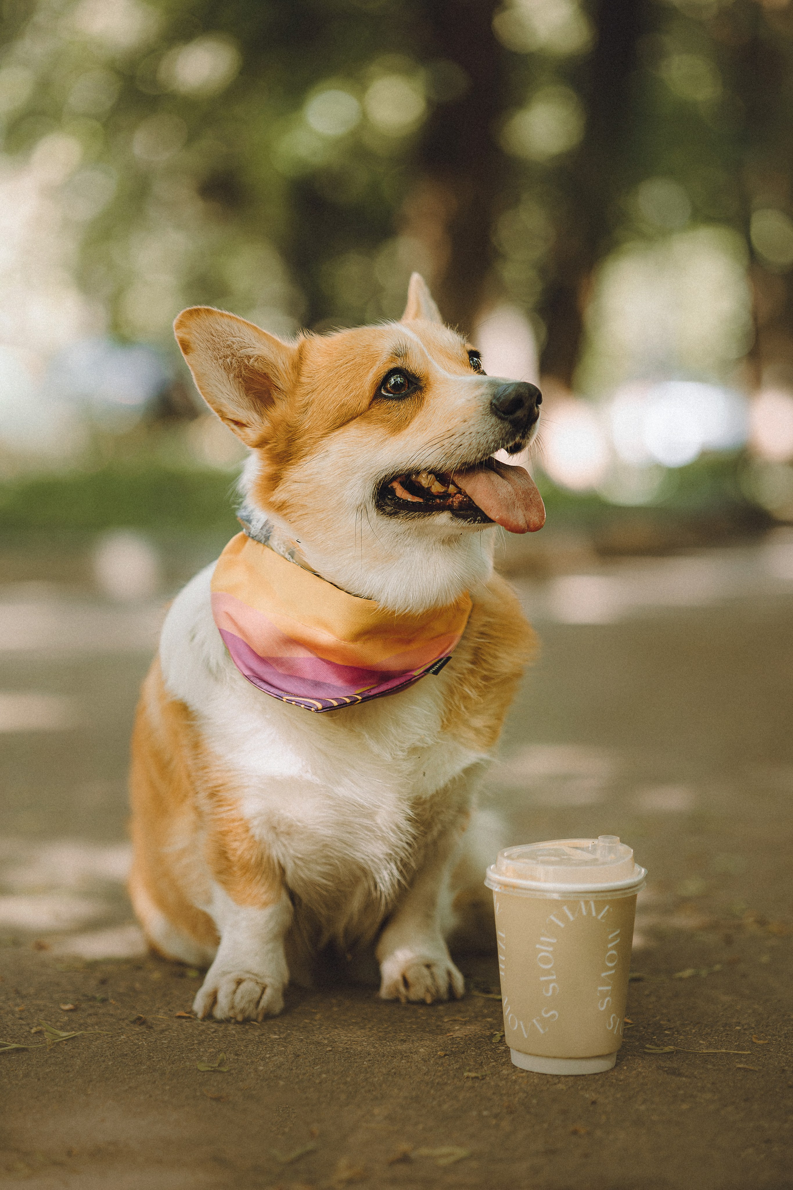 Вика и Мейзи