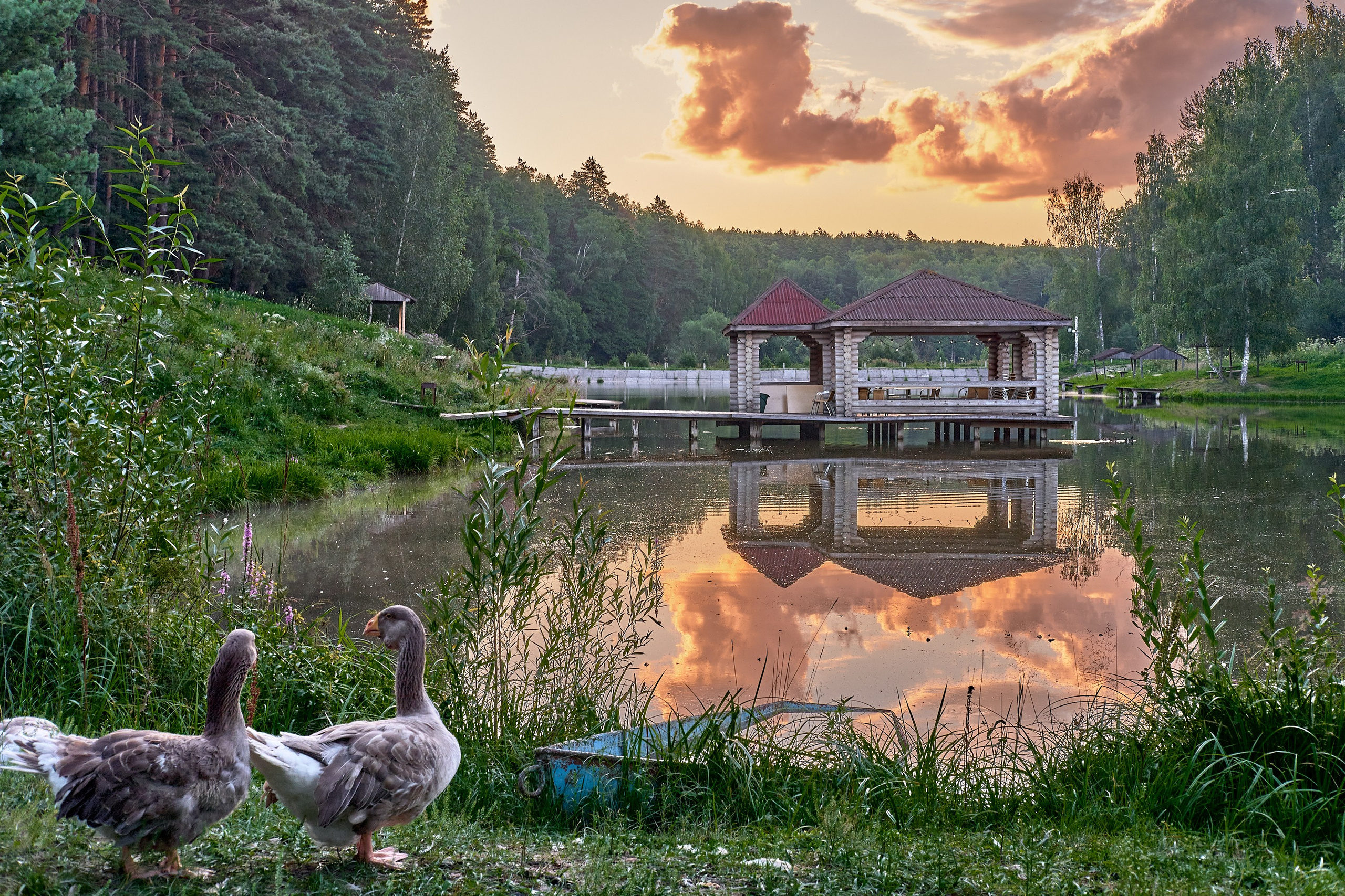 Zaoksky.Photo Санкт-Петербург