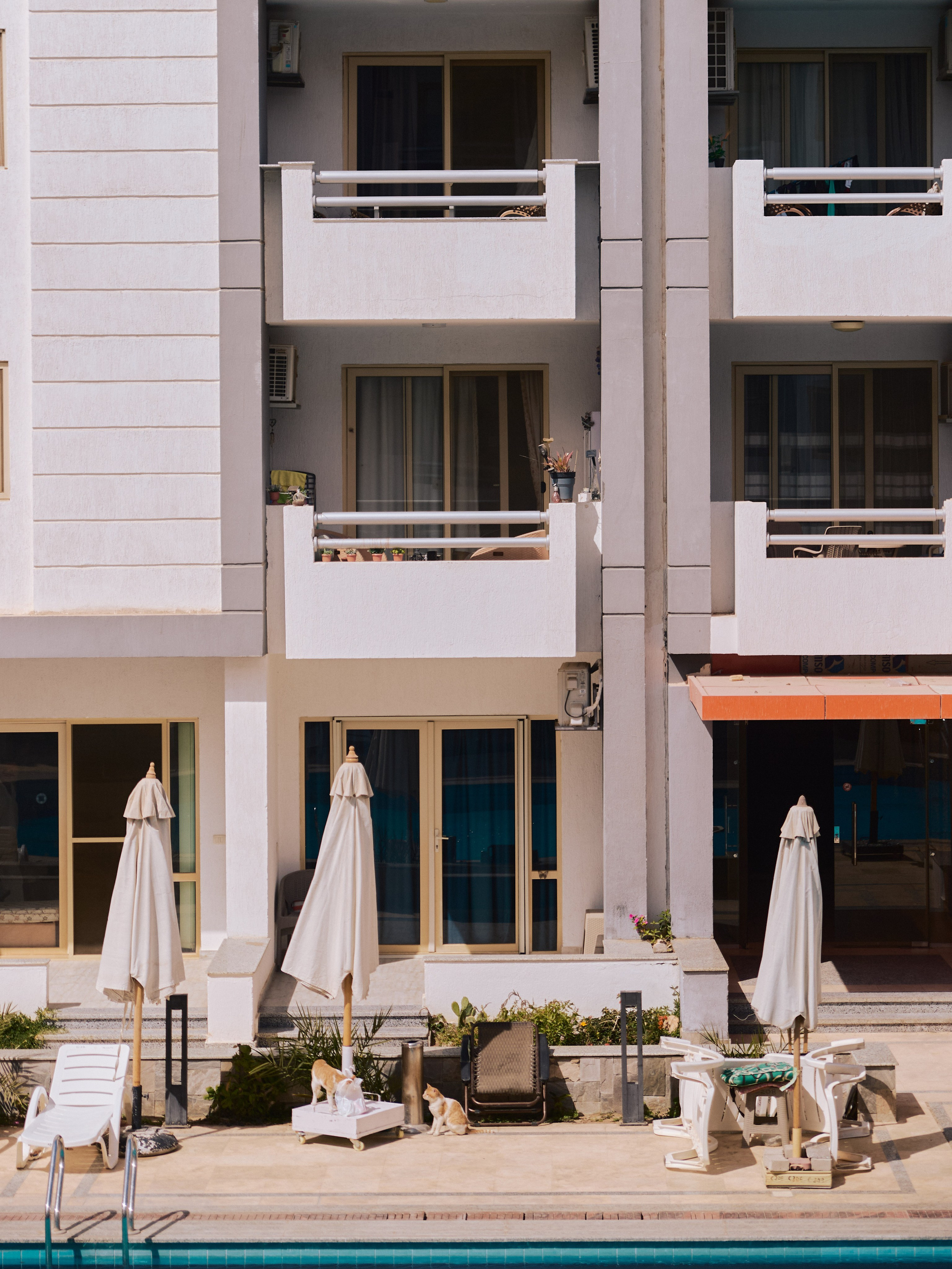 Проверяя камеру. Jorgis — фотограф в Хургаде / обучение фотографии