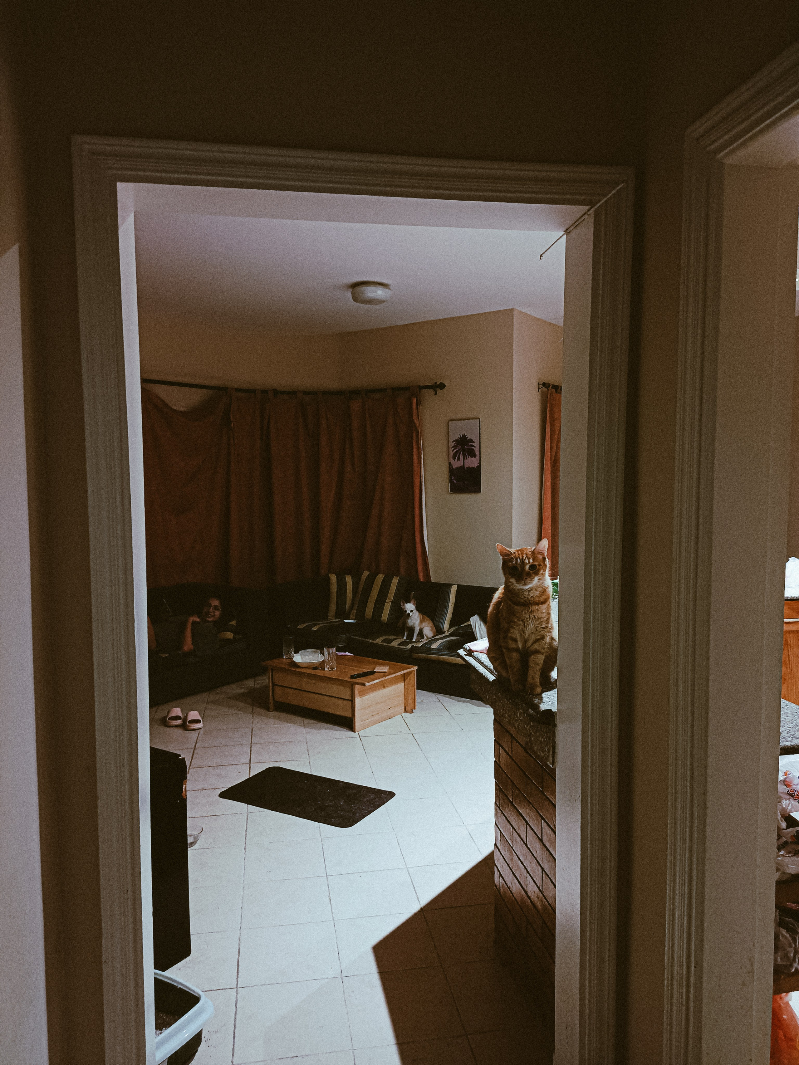 Мобильная. Jorgis — фотограф в Хургаде / обучение фотографии