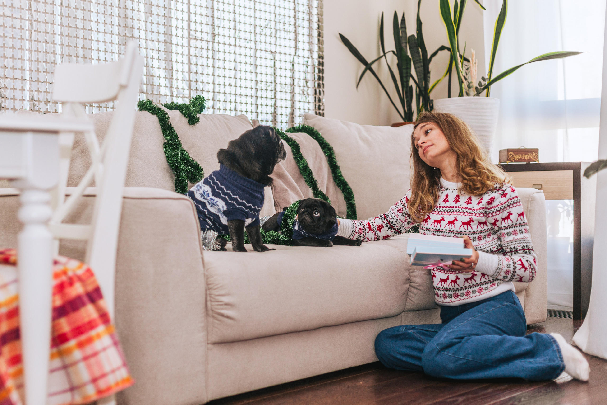 Домашняя фотосессия Оли и двух ее мопсов. Фотограф-анималист Татьяна Степанова